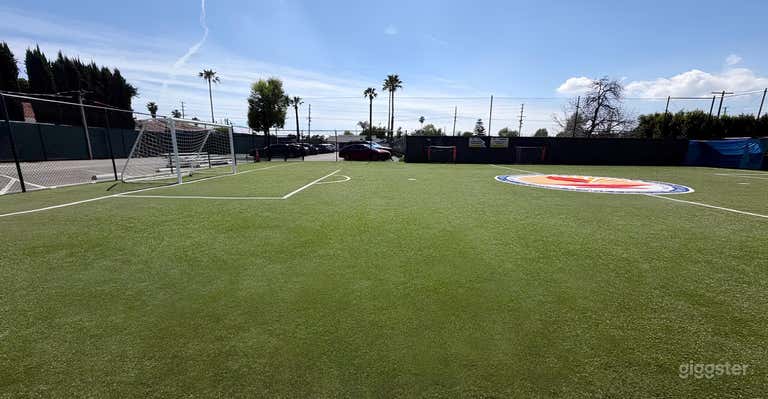  Rare and Versatile Football Field 