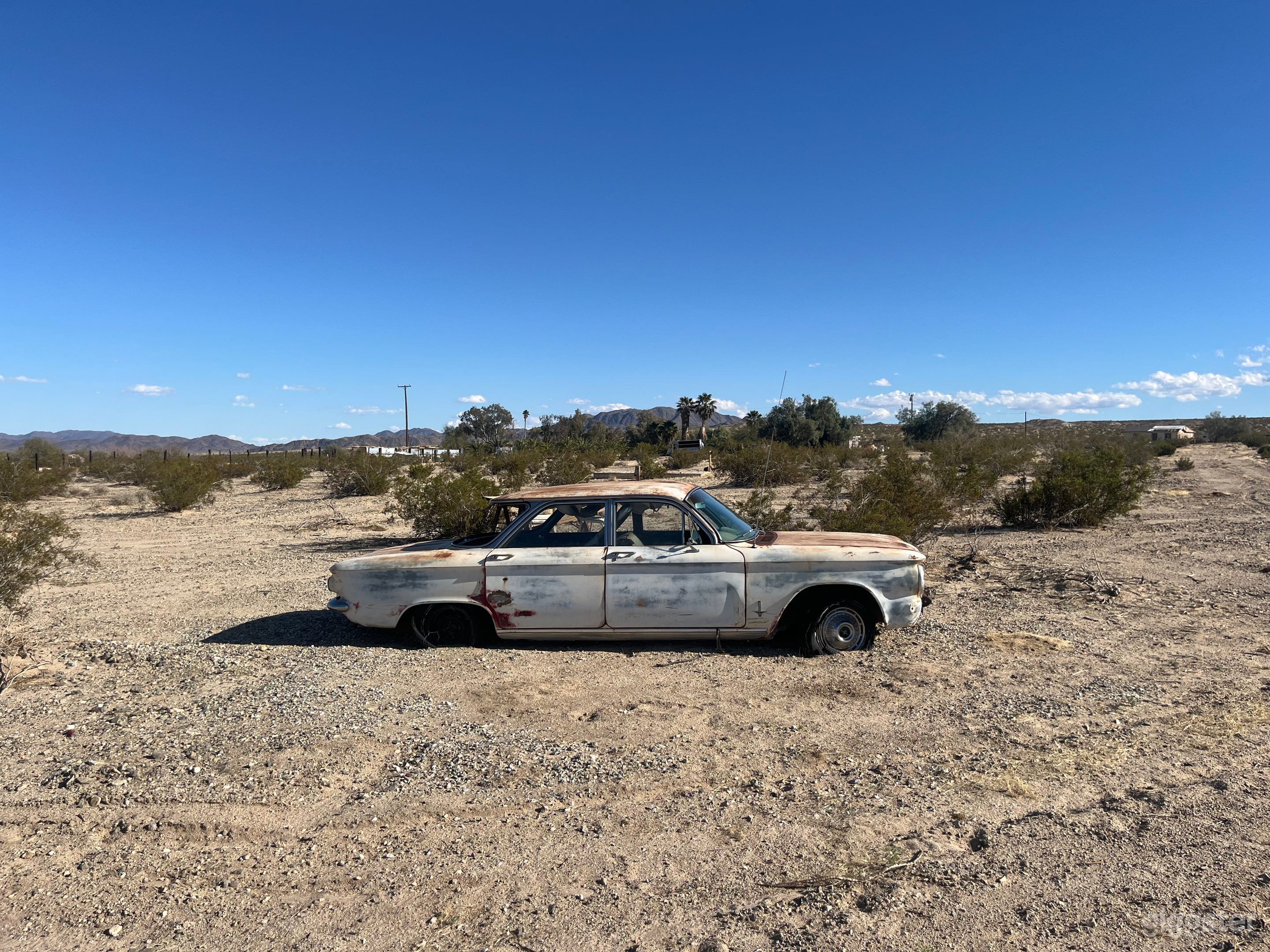 Oasis Ranch Photo 3