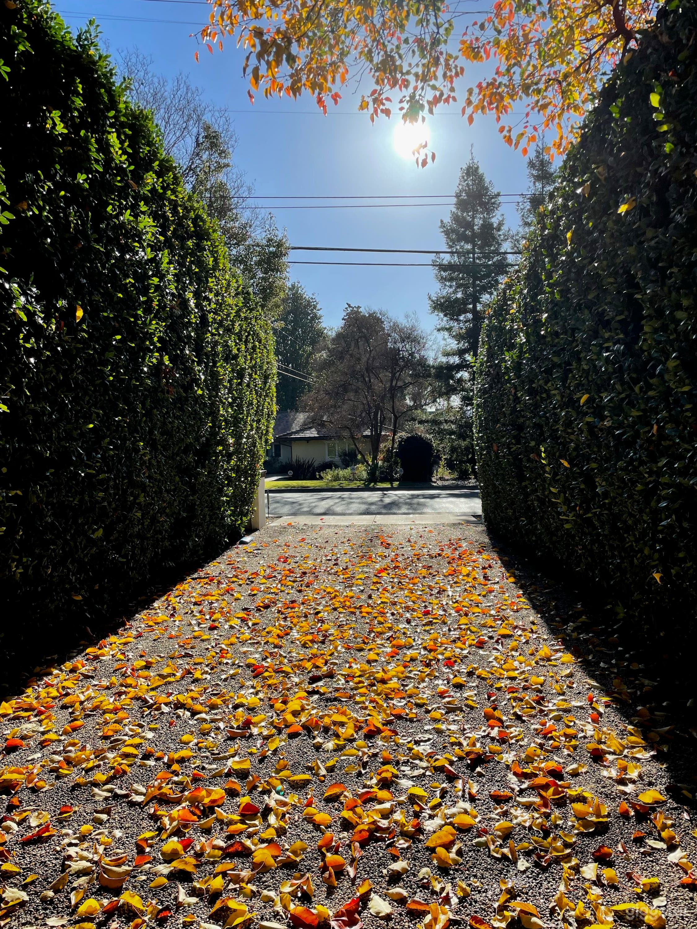 Century-Old Spanish Estate on Acre of Lush Gardens Photo 3