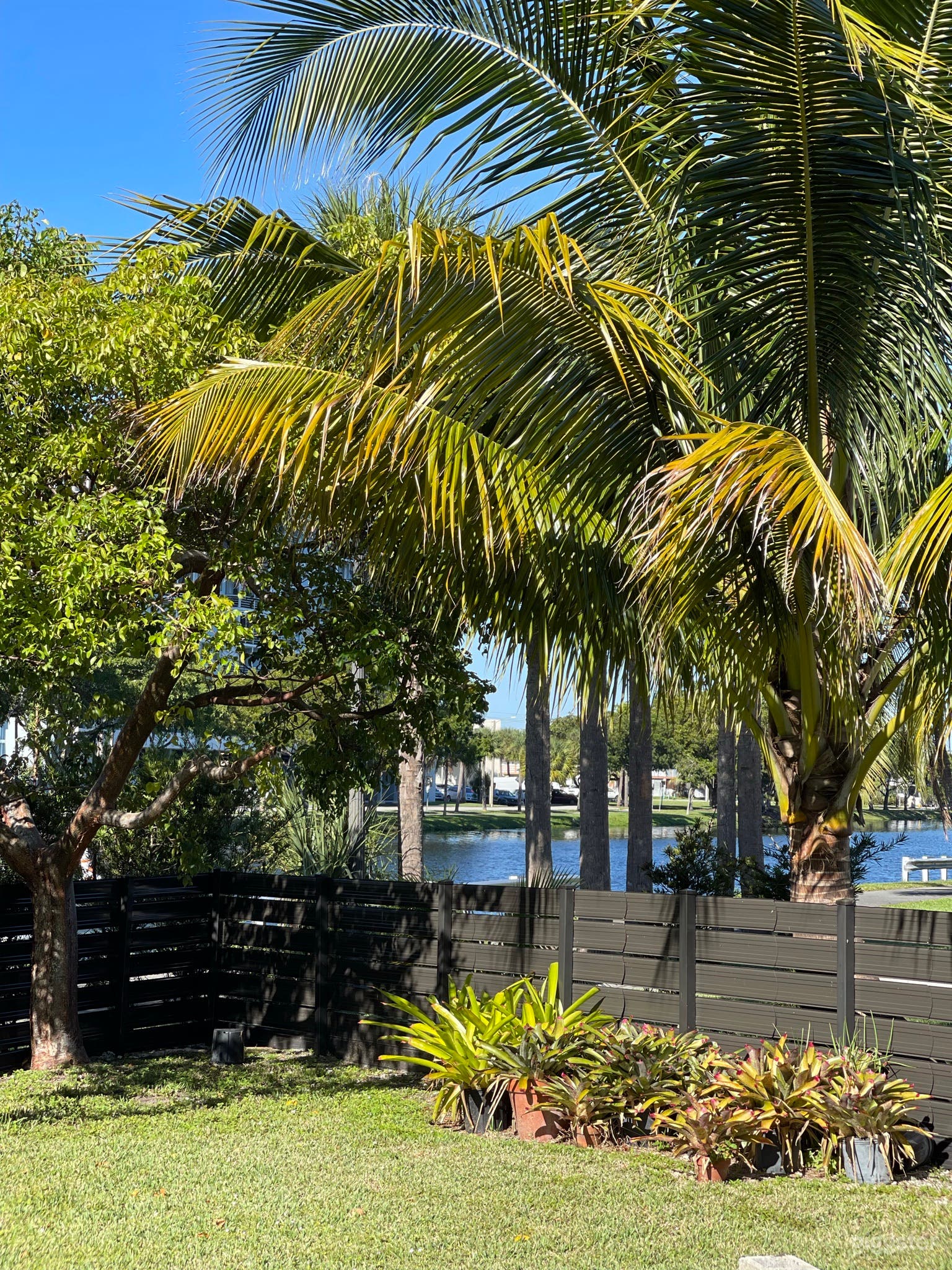 Side yard view of snake creek river