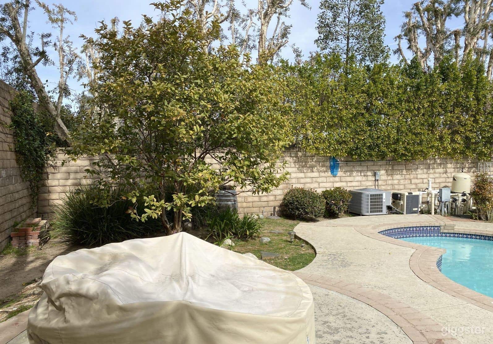 Pool in Tardigrade Terrace Photo 4