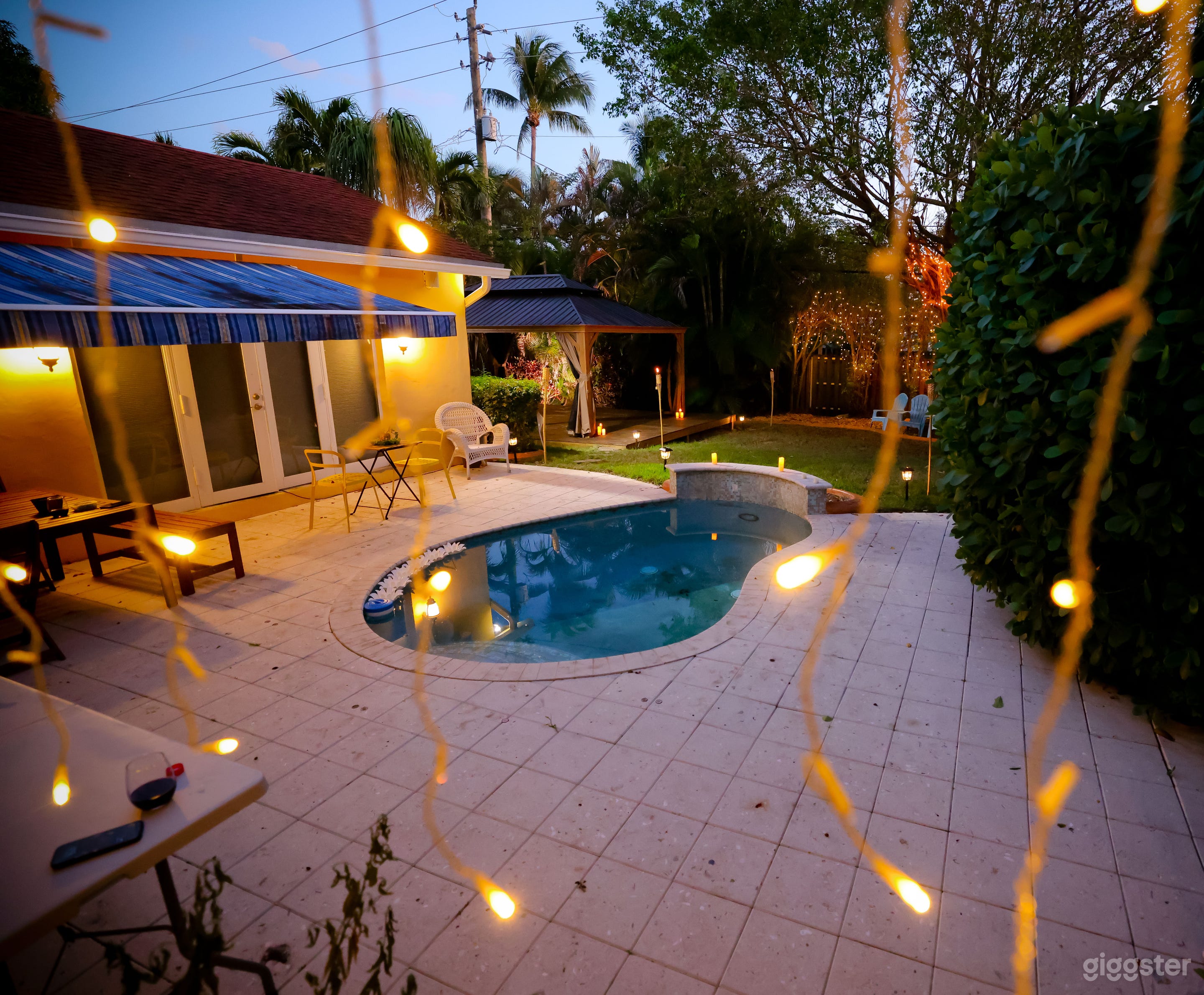 The Jungle in Hollywood Photo 1