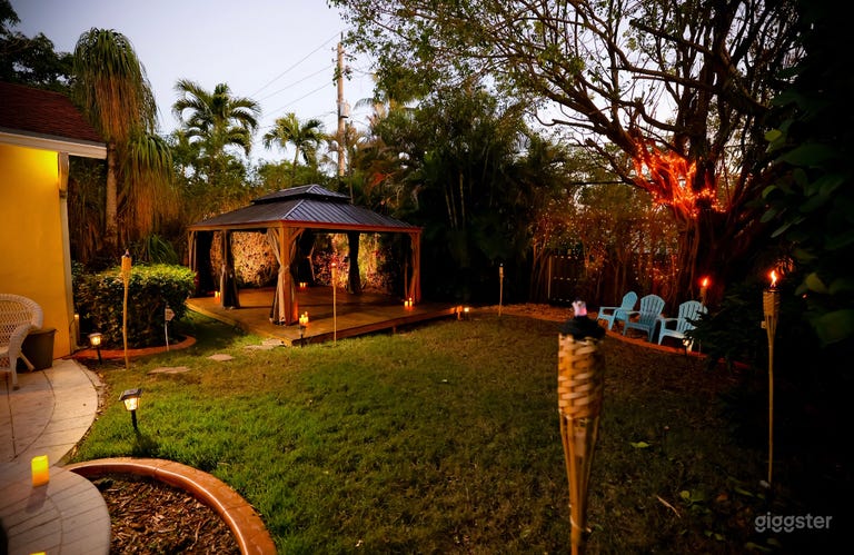  The Jungle in Hollywood 