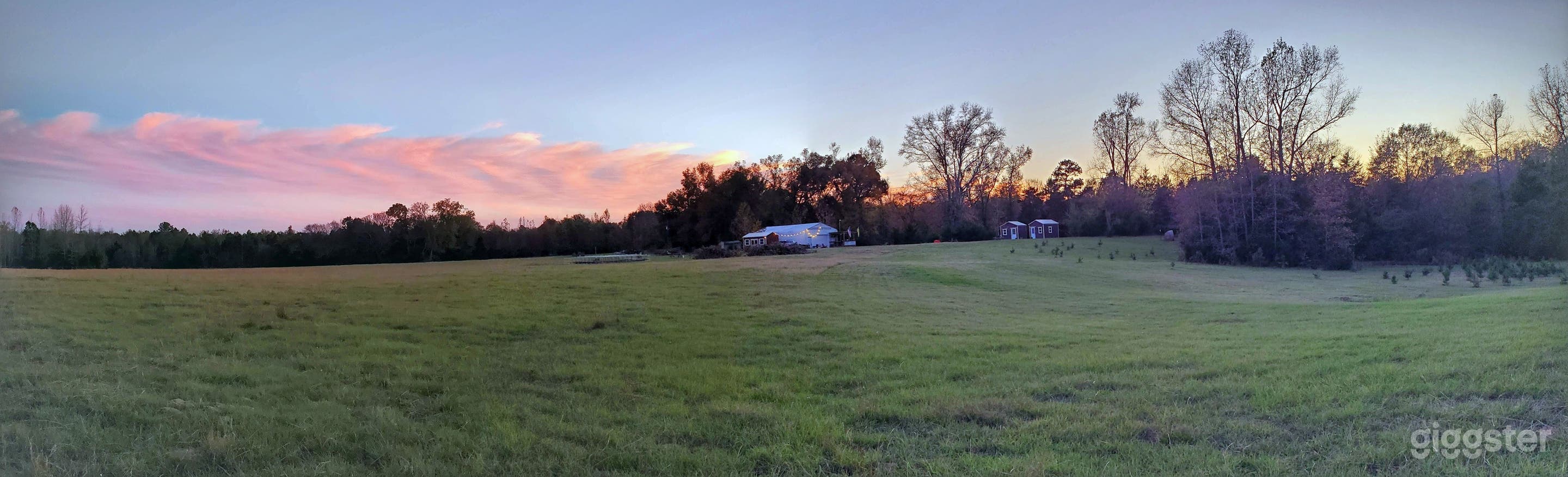 50 Acre Tranquil Oasis in the Heart of East Texas Photo 2