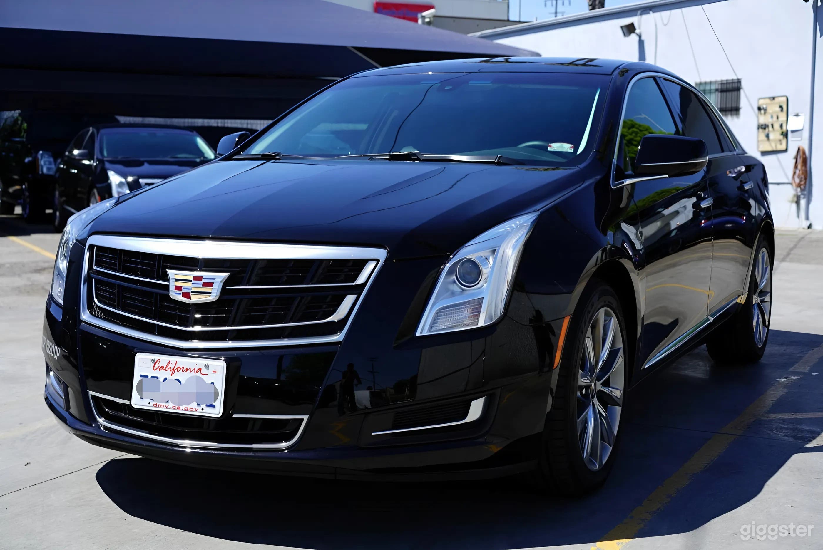 3 Pax Cadillac XTS Photo 4