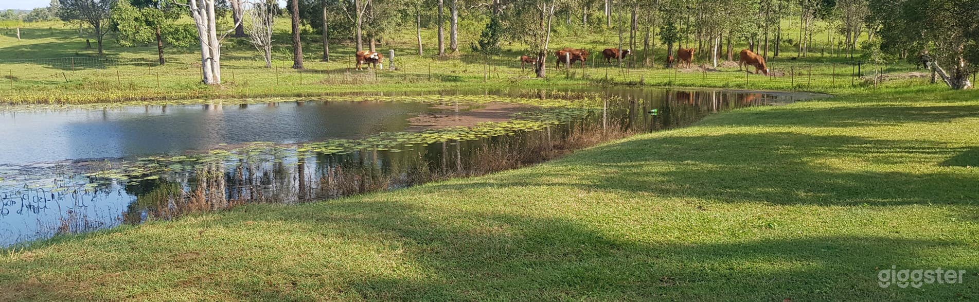48 Acres Homestead Photo 4