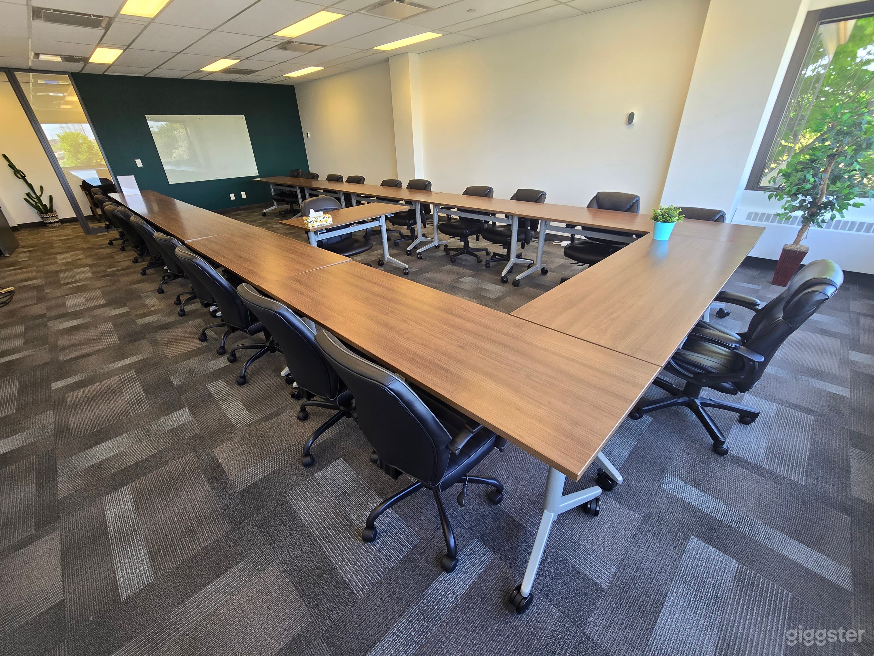 Corporate Meeting Room for 33 (Room #18) Photo 4