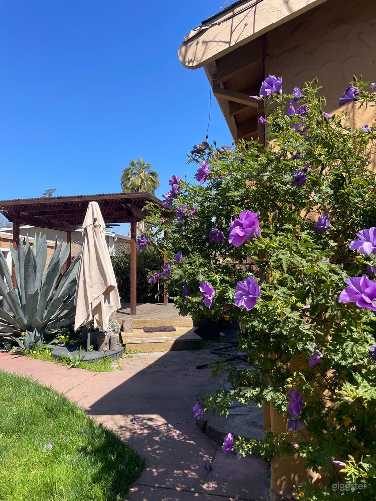  Creative Modern House With Botanic Garden 