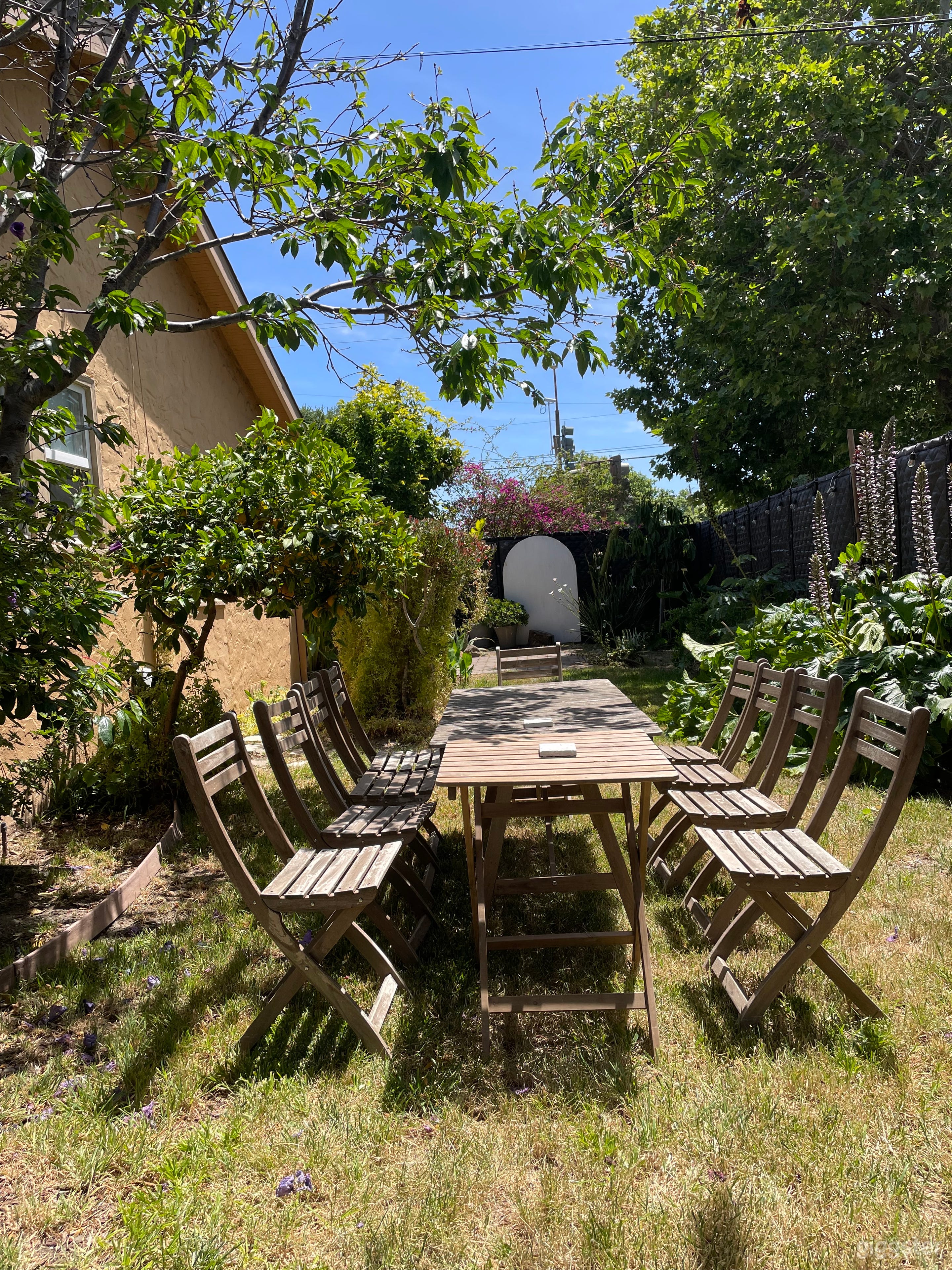 Creative Modern House With Botanic Garden Photo 1