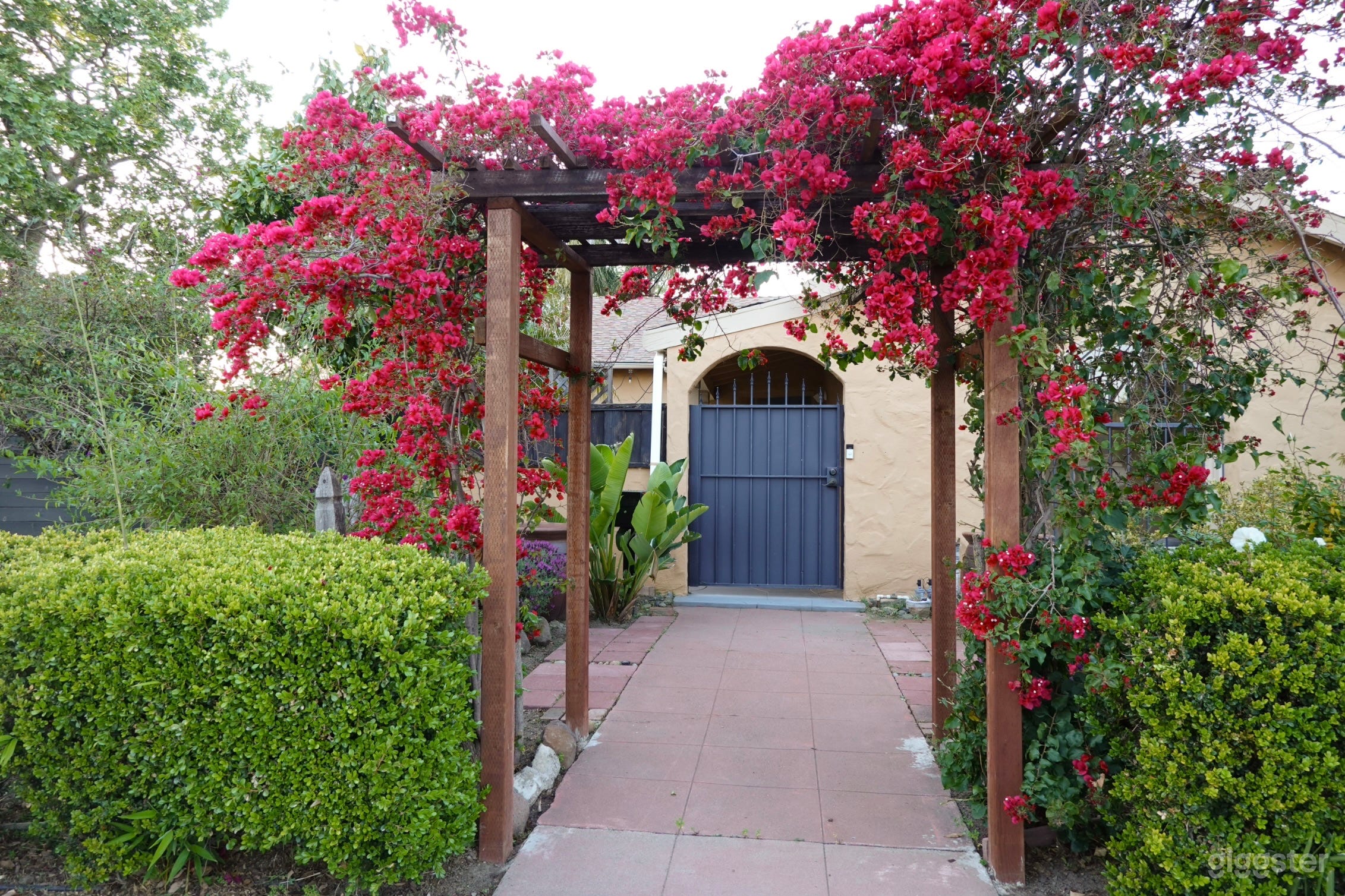 Creative Modern House With Botanic Garden Photo 4