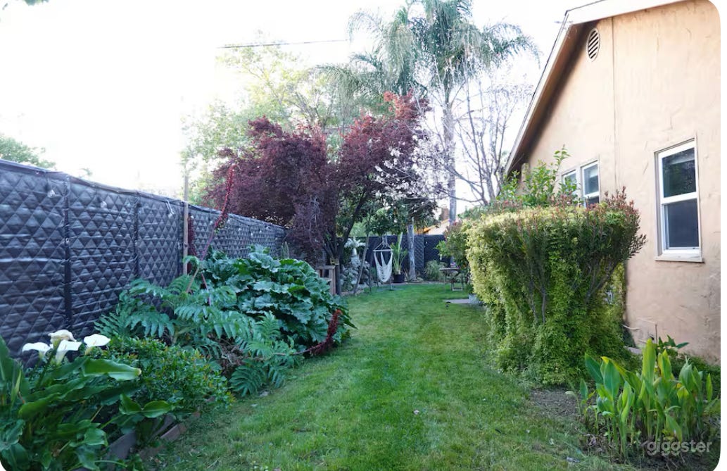 Creative Modern House With Botanic Garden Photo 3