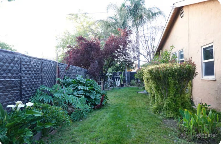  Creative Modern House With Botanic Garden 