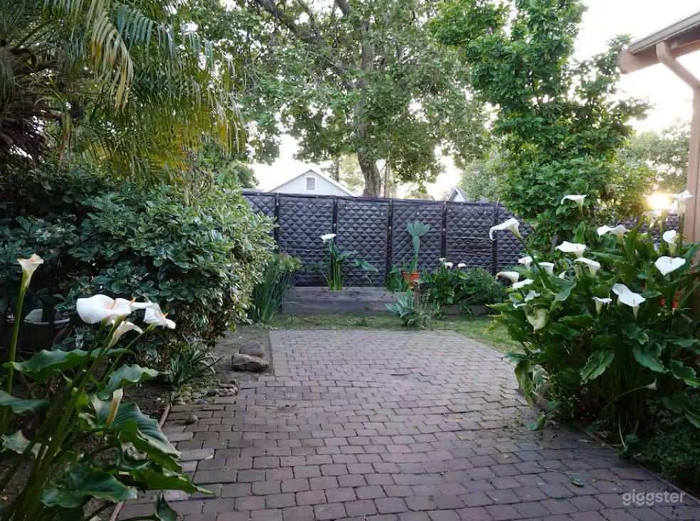 Creative Modern House With Botanic Garden Photo 2