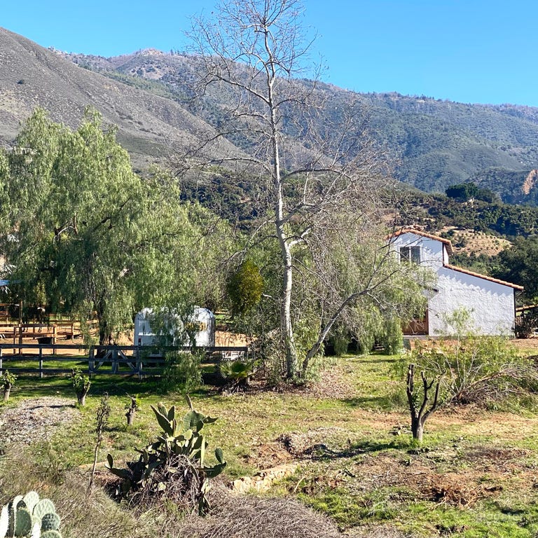  Barn available to rent May or June 2023 photos do not reflect current appearance 