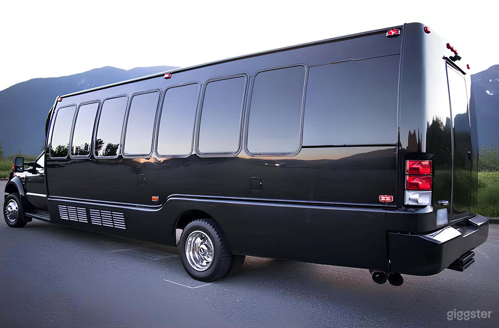 Luxurious Ford Krystal Minibus 40 Photo 3