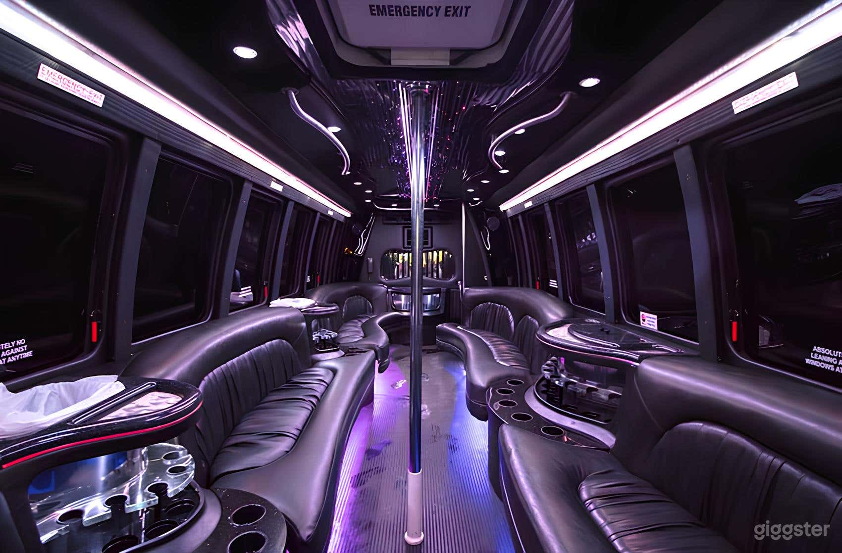 Luxurious Ford Krystal Minibus 40 Photo 4