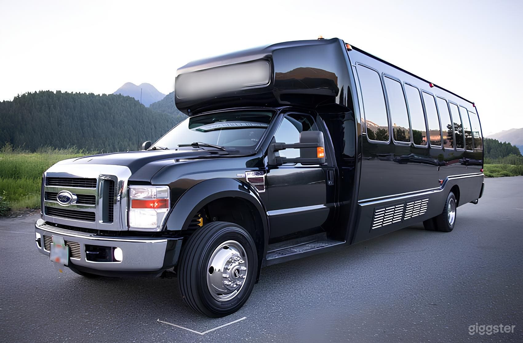 Luxurious Ford Krystal Minibus 40 Photo 1