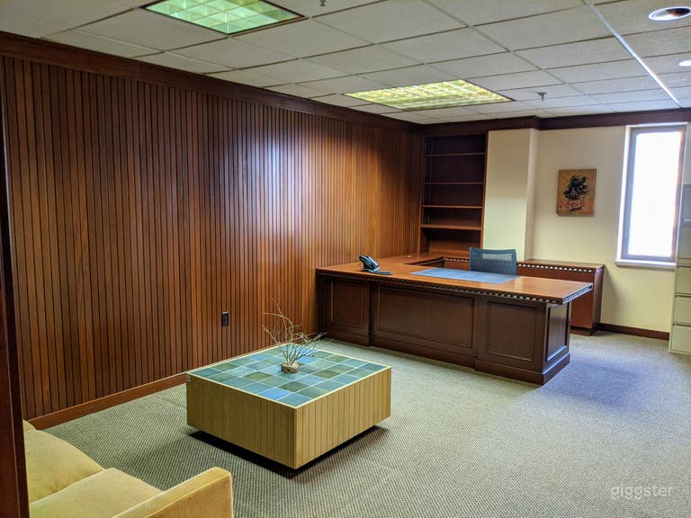  Downtown Miami Vintage Office - Retro Wing 