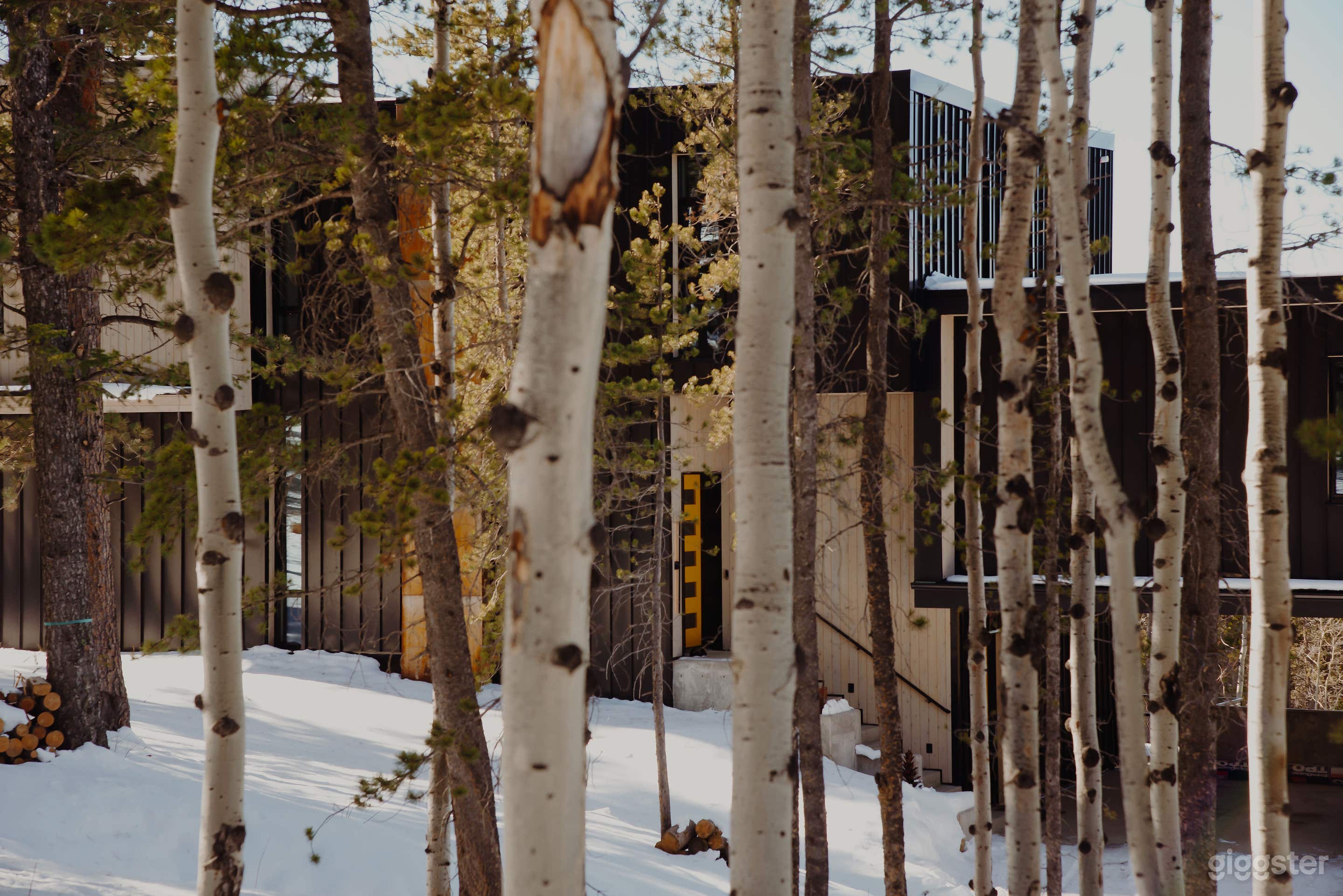 Halcyon: A Cinematic Mountain Retreat Photo 4