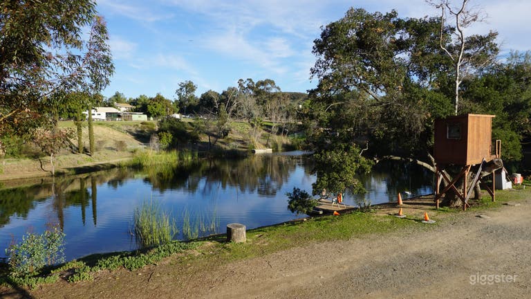  Sideview of the left side of the pond while standing on the right side 