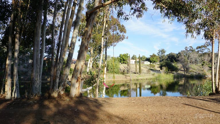  Swing overlooking pond 