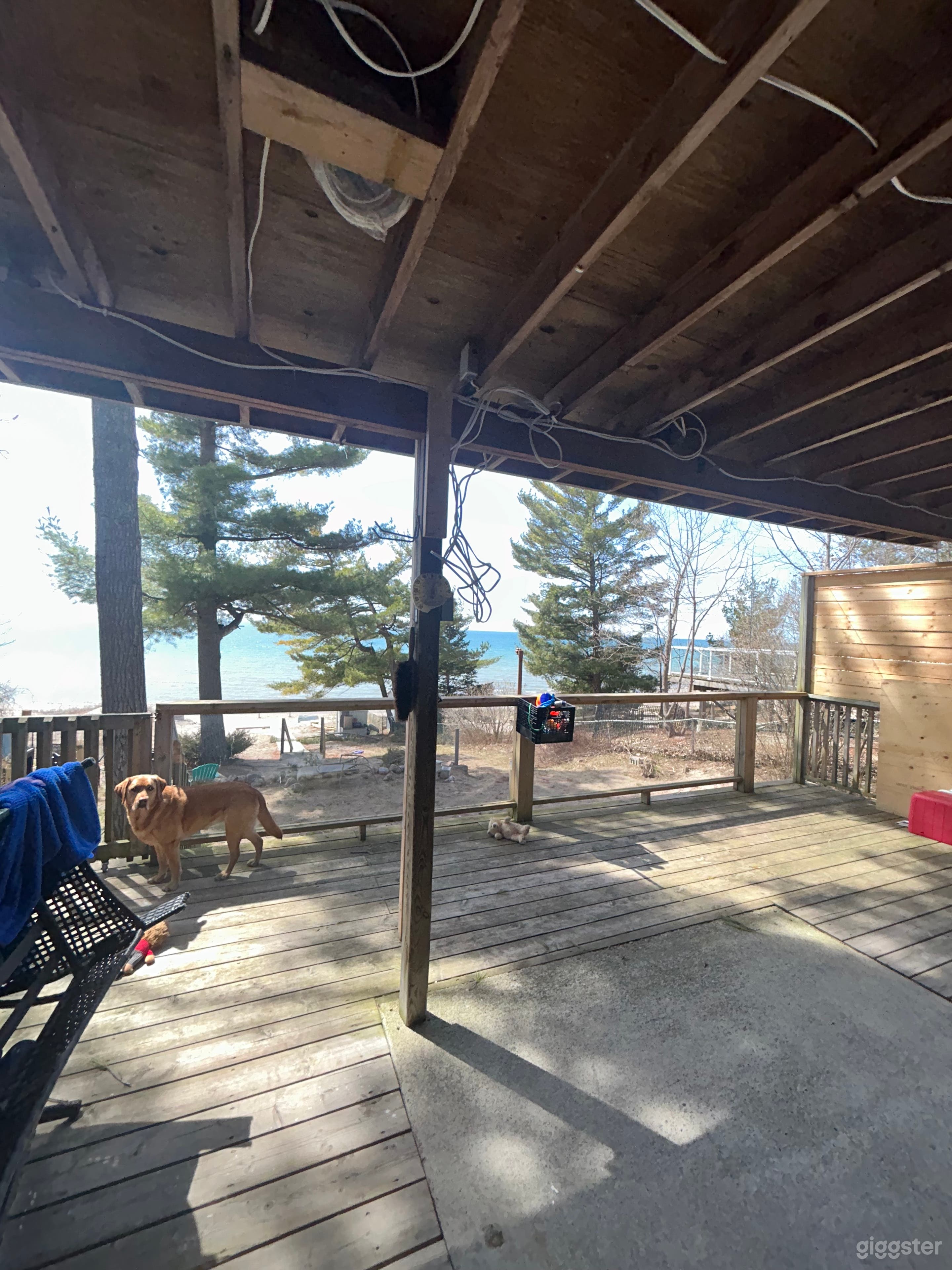 Modern beachfront Photo 1