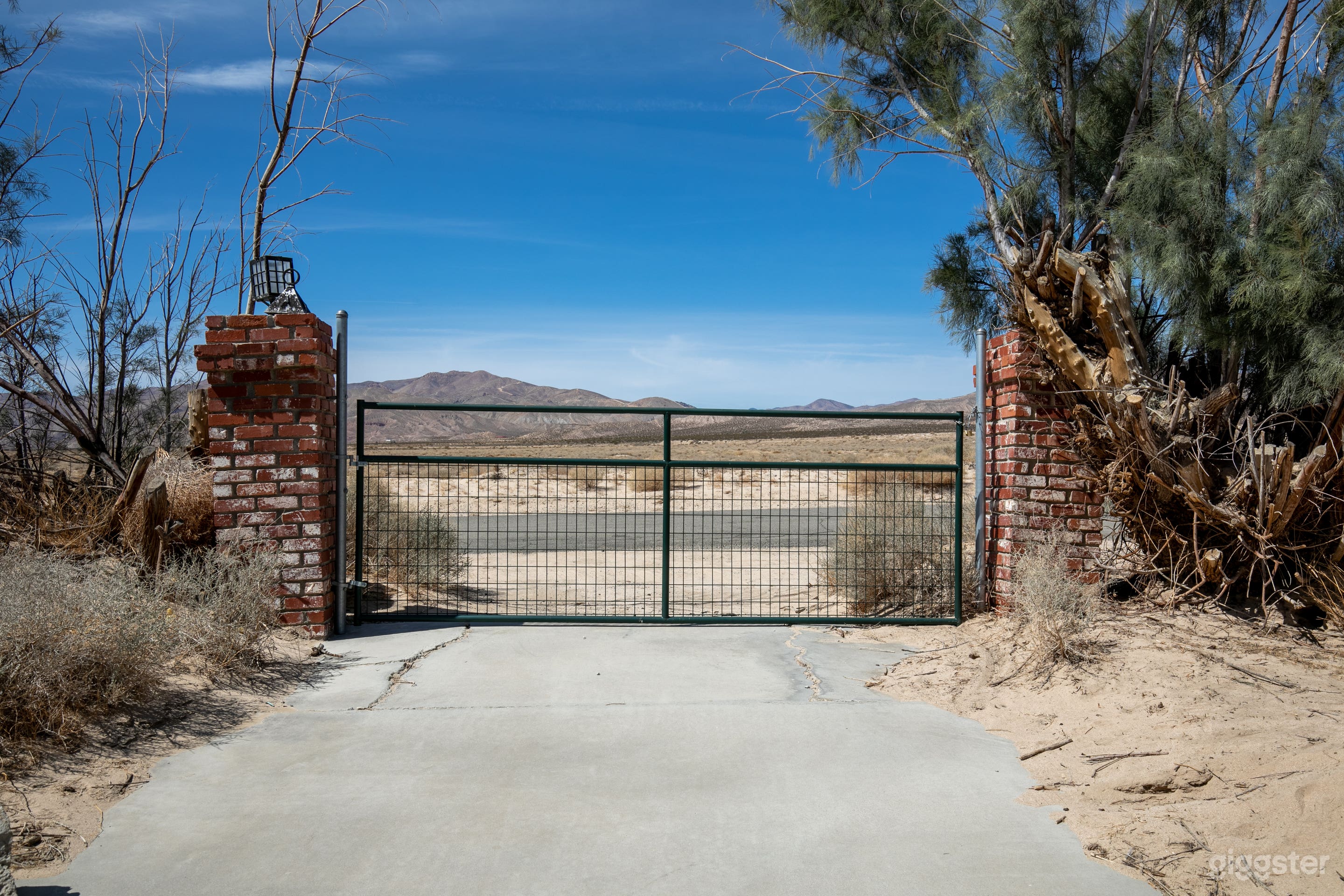 Pyro Professionals  Photo 4