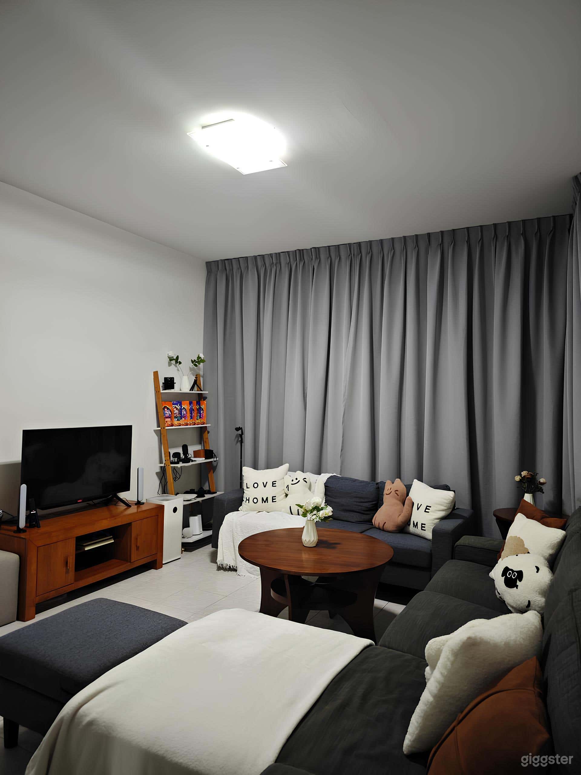 Customisable Home Studio for Rent Photo 4