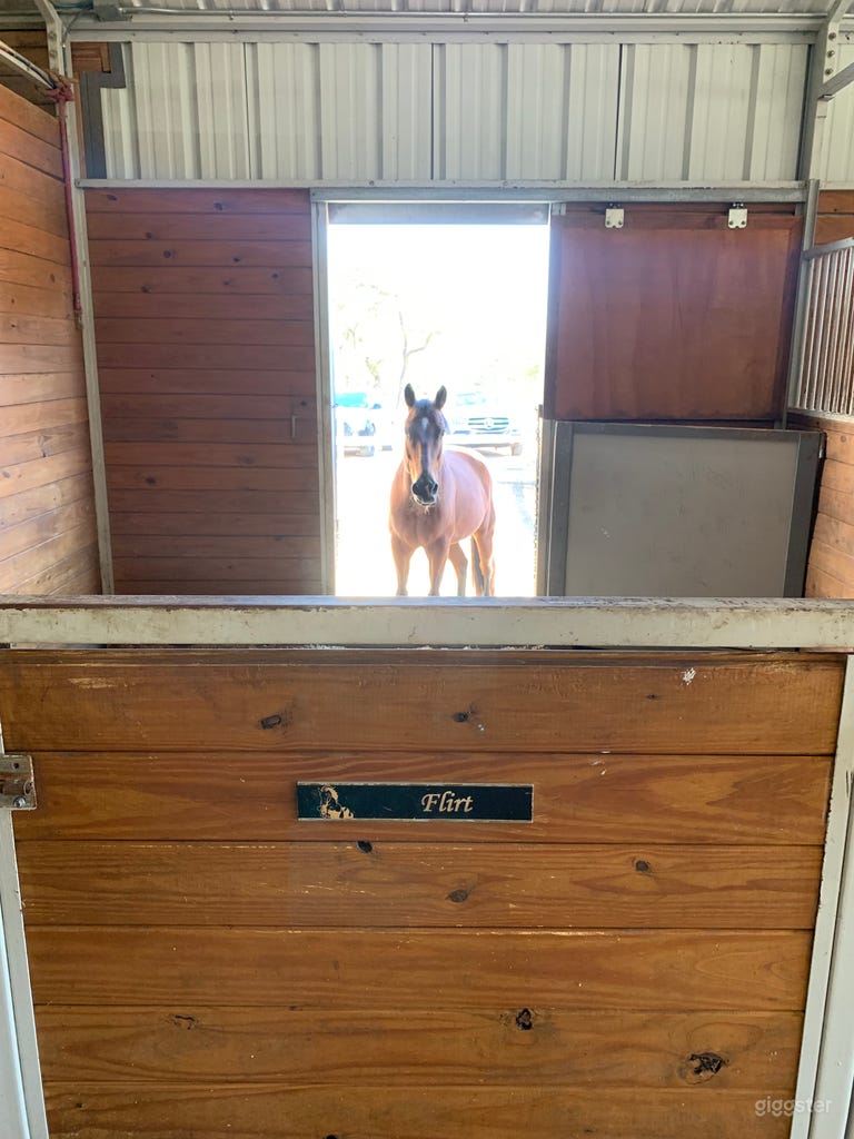  Equestrian training facility on 17 acres, with home on site 