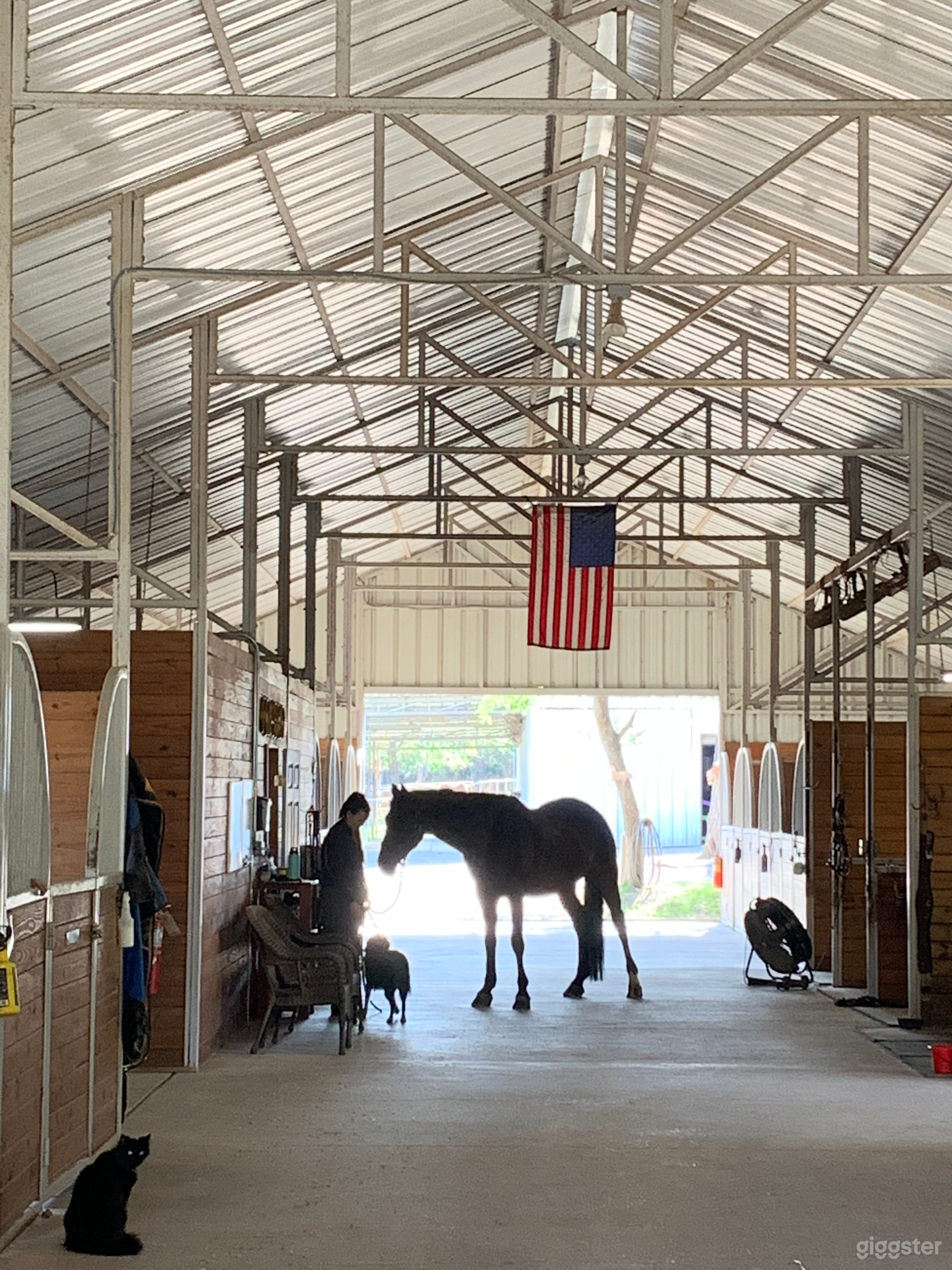 Equestrian training facility on 17 acres, with home on site Photo 1