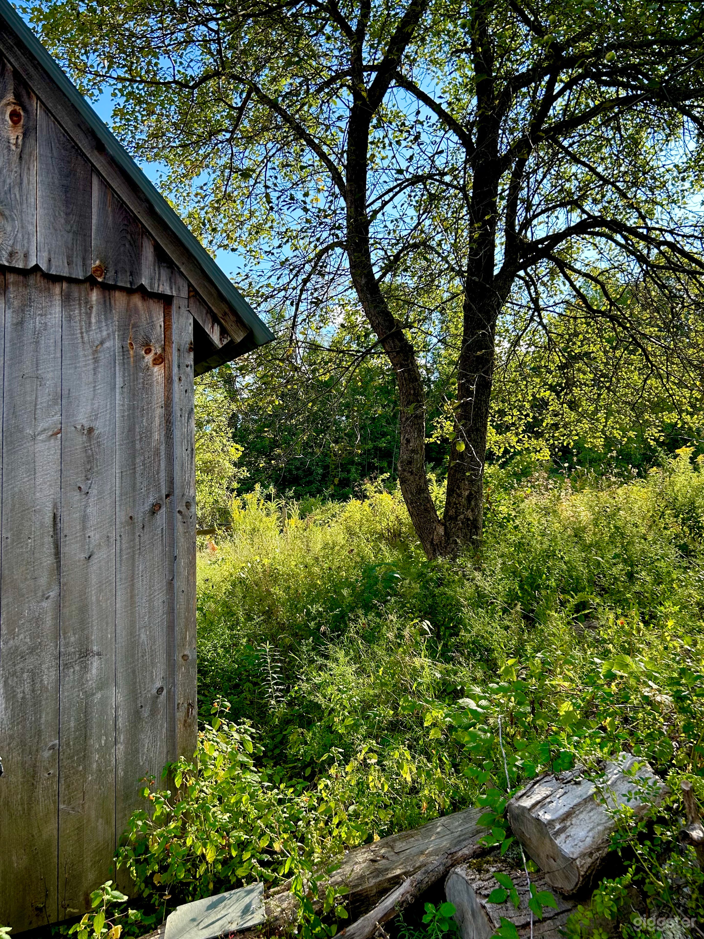 Green Mountain Landscapes with Cabin and Apple Grove Photo 4