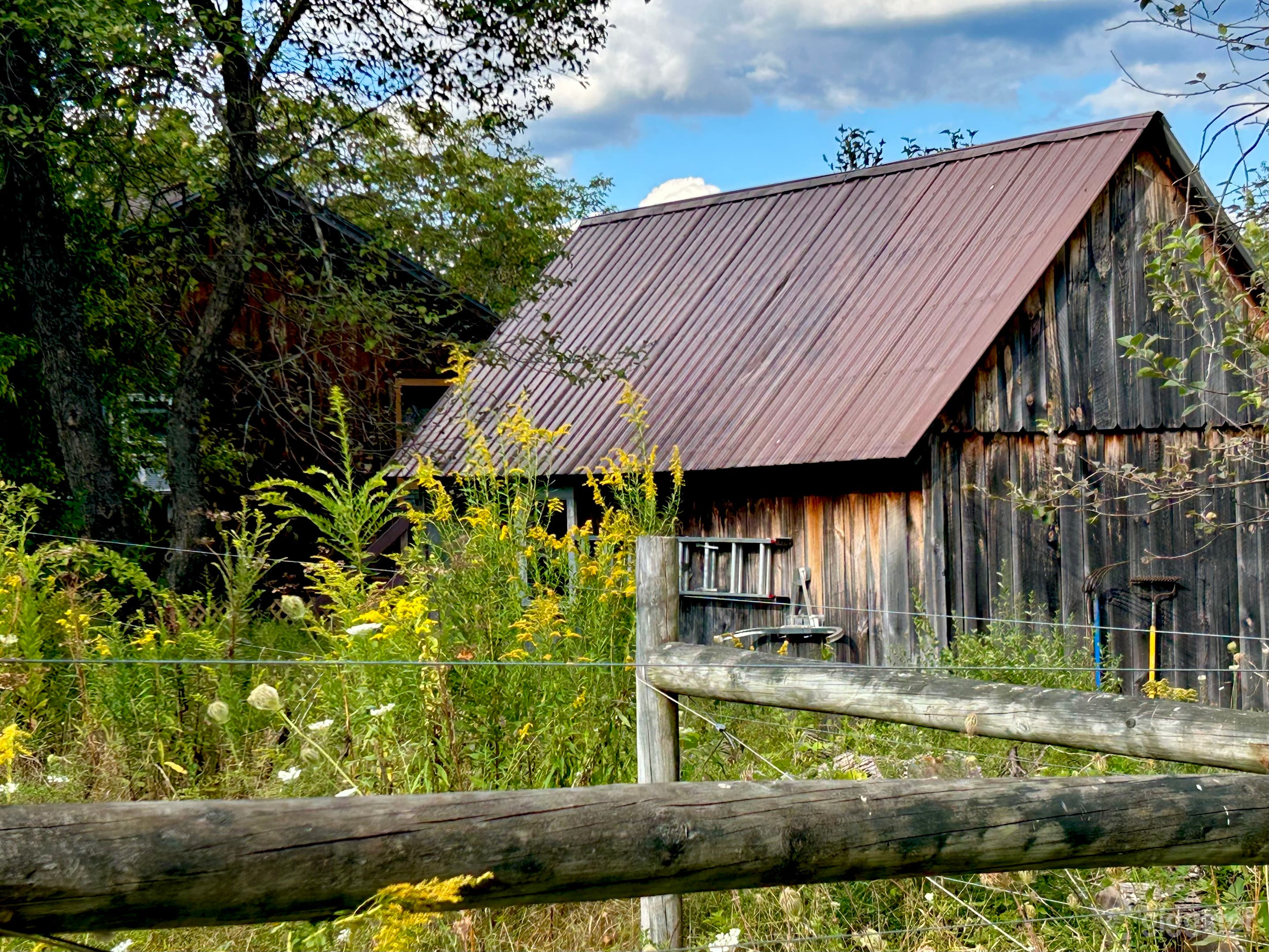 Green Mountain Landscapes with Cabin and Apple Grove Photo 1