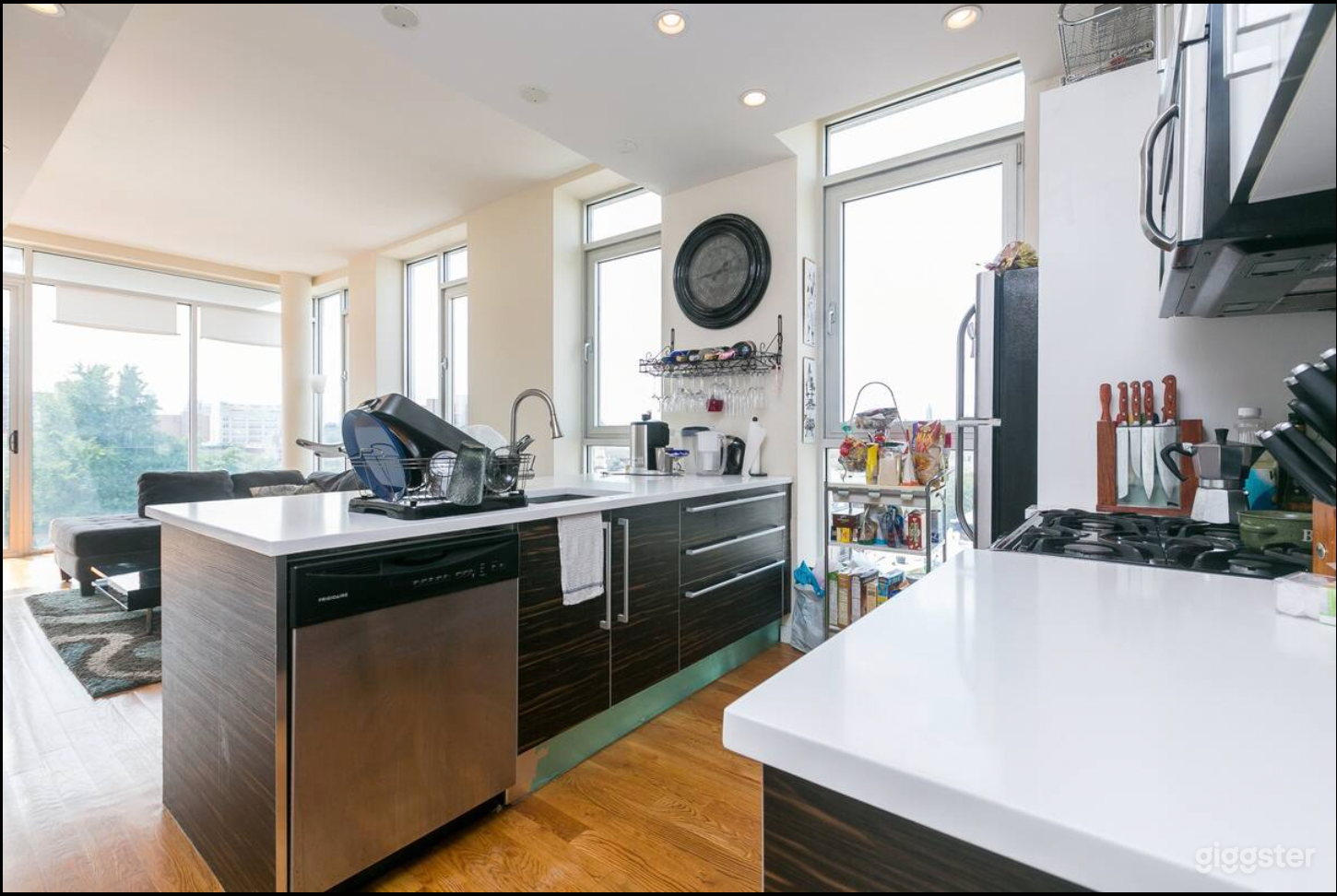 A Rare Sighting in Brooklyn Photo 4