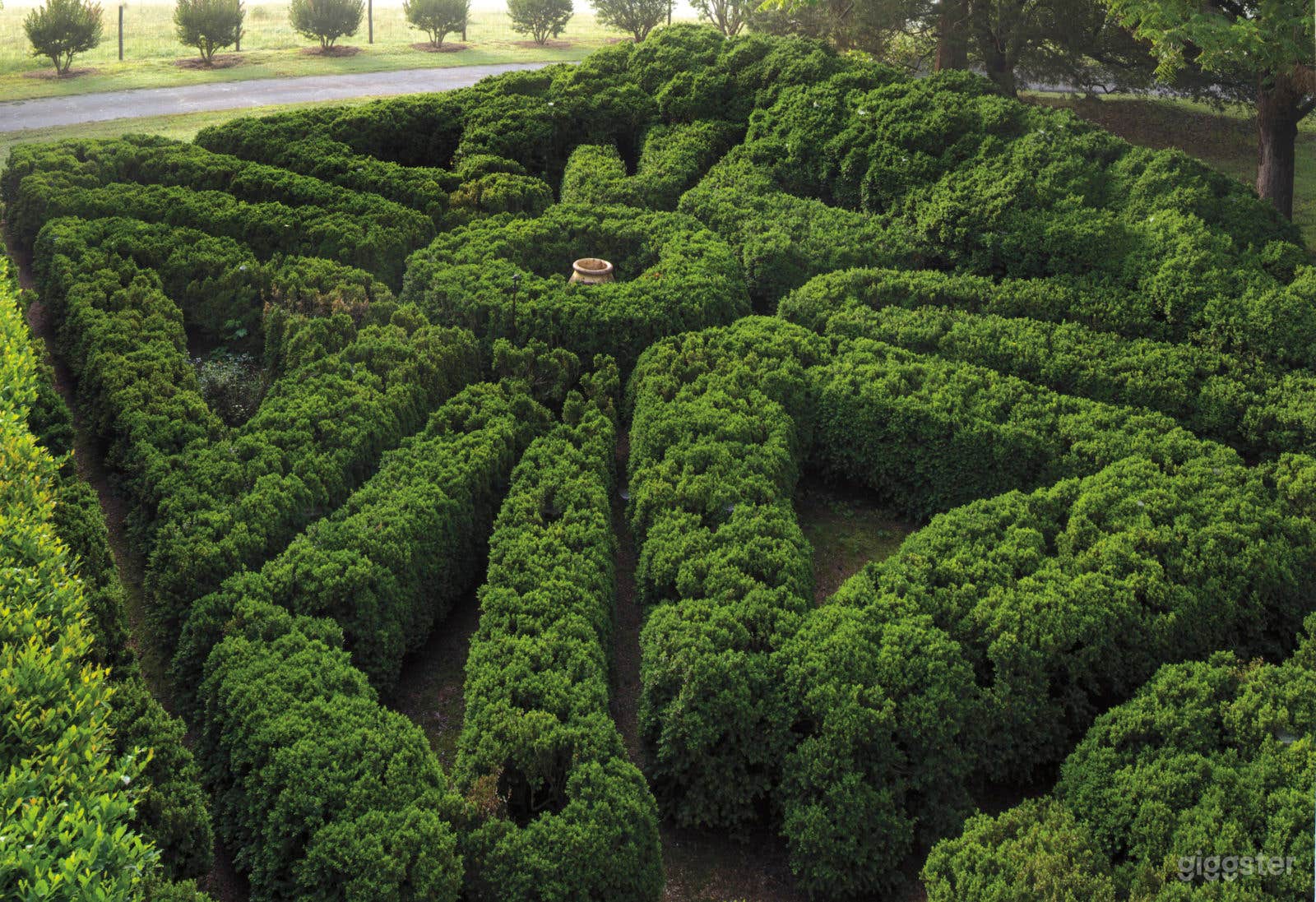 Historic and Authentic Antebellum Plantation  Photo 4