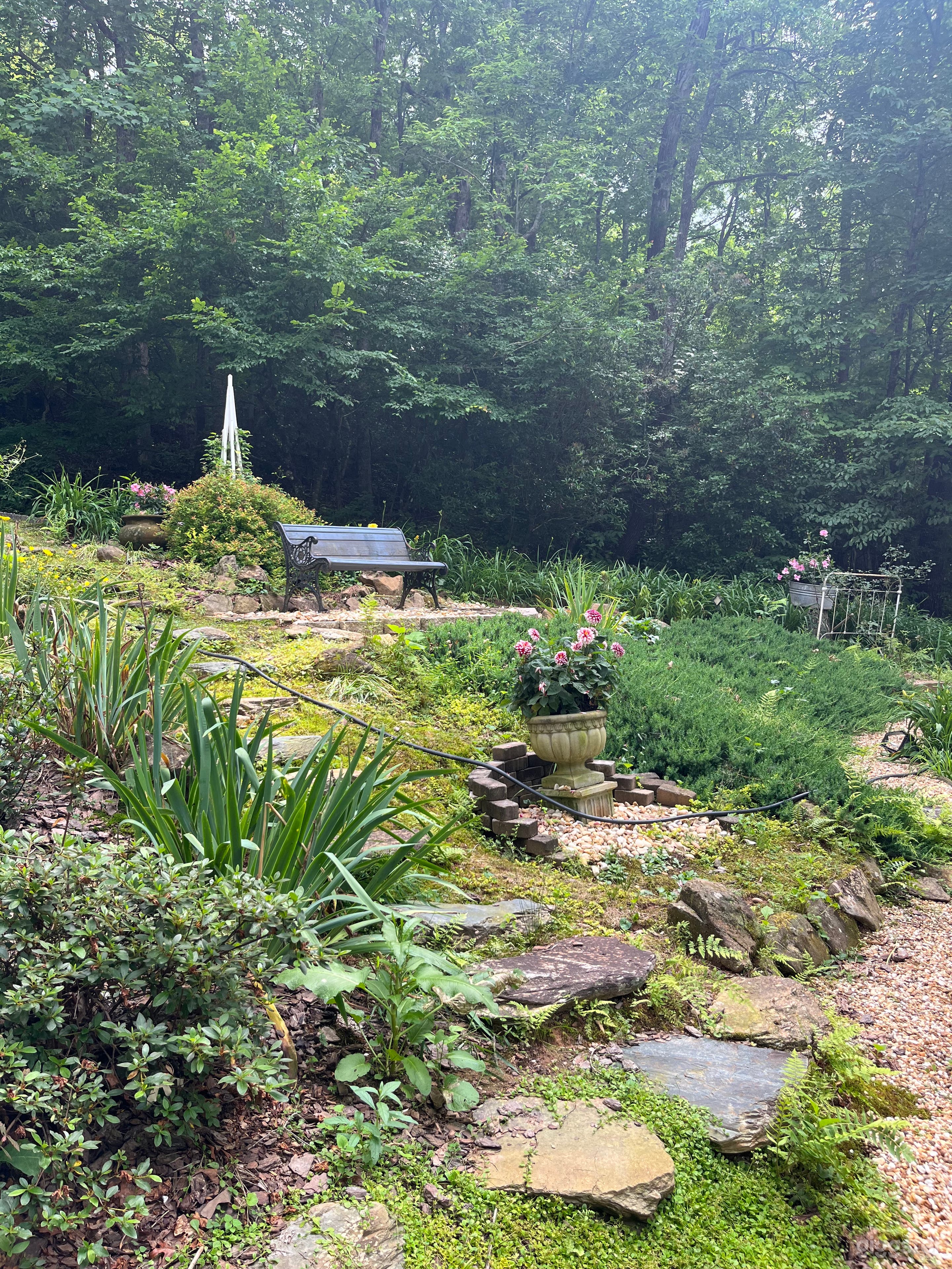 Blue Ridge mountain cabin with  English garden Photo 3