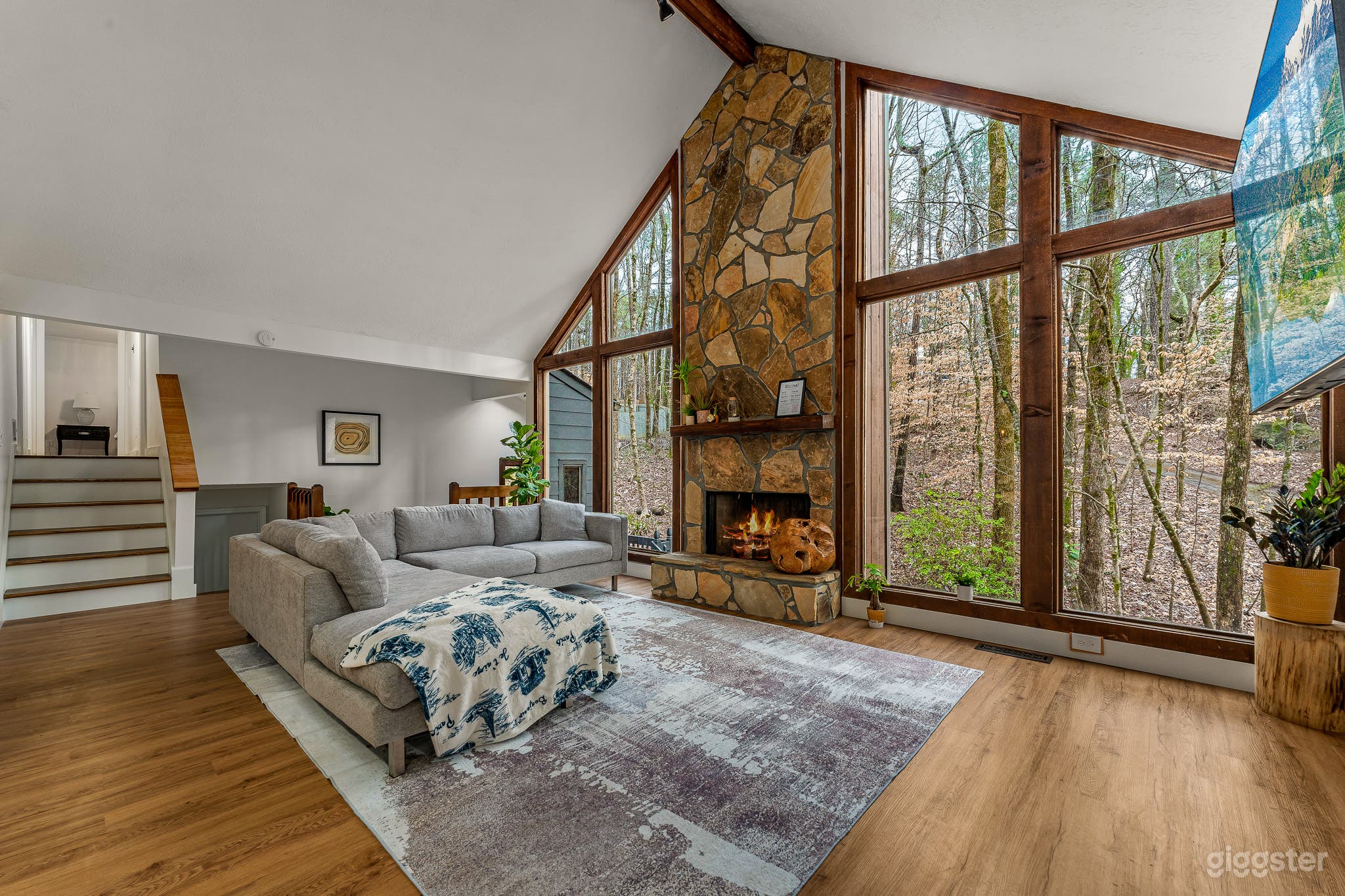 Serene Minimalist Wildlife Haven Photo 2