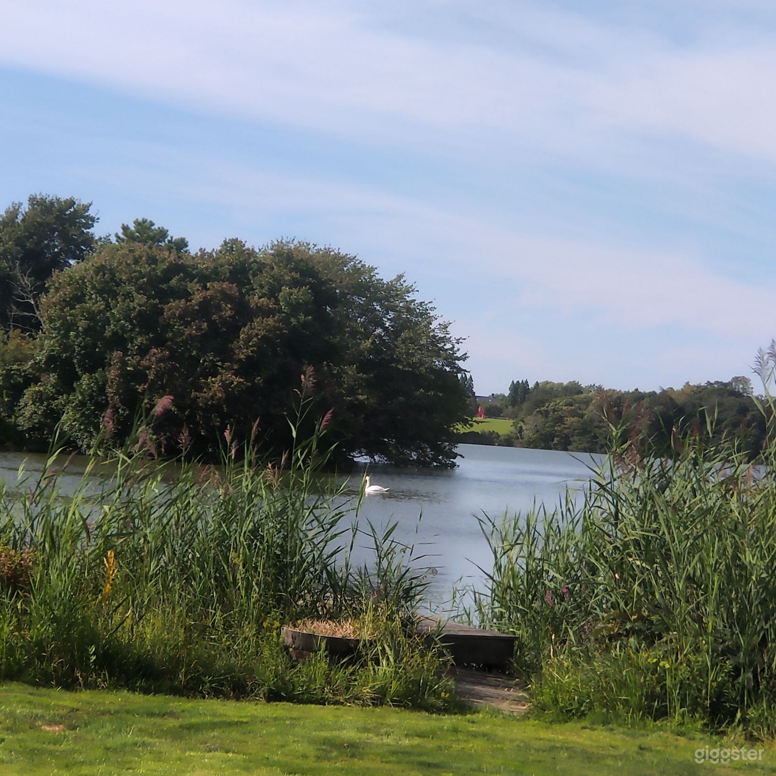 Magical Serene Location for Films Photo 4