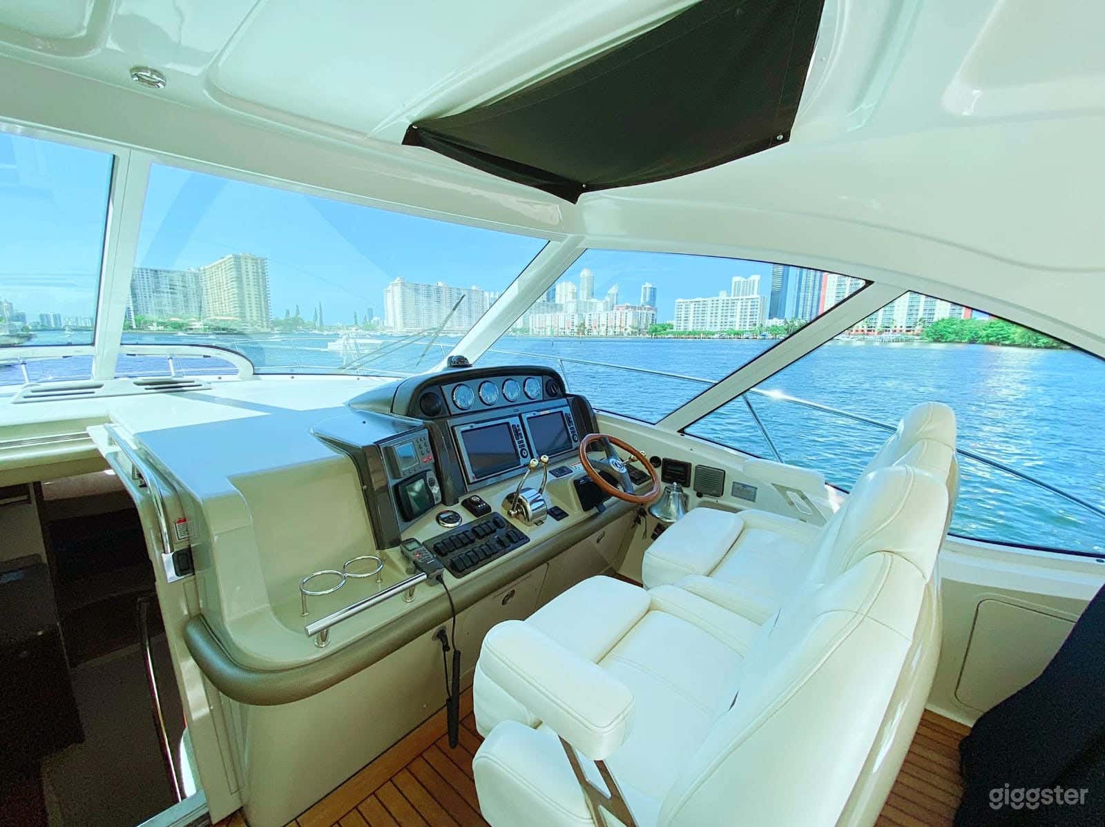 Superb 51FT SEA RAY Party Yacht Space Events Photo 2