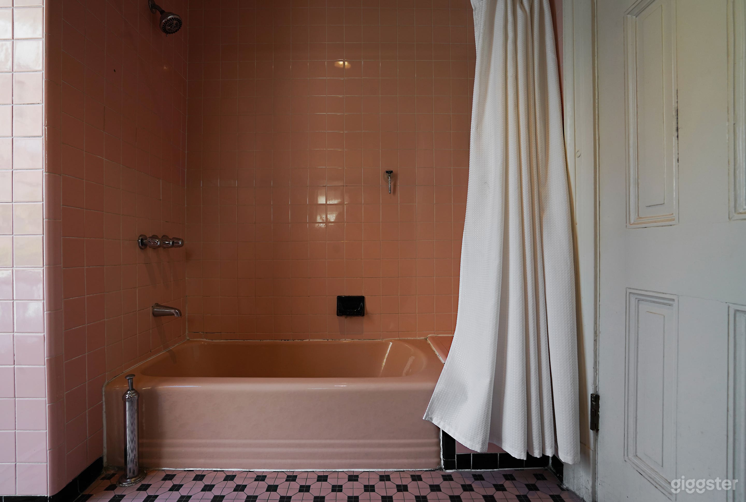 The Shapira's Retro 1962 UNIQUE Photo 2