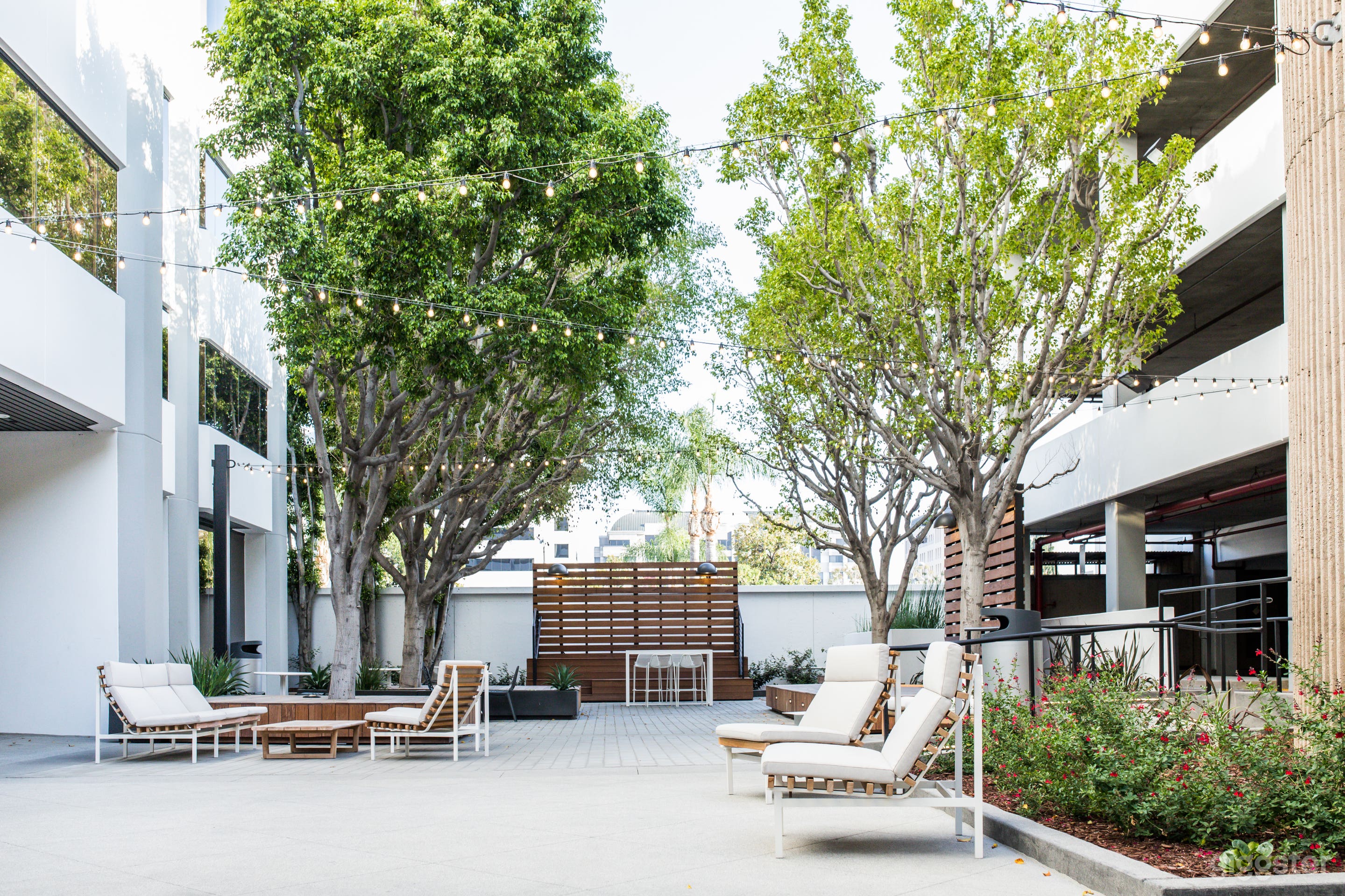 Nola 155 Courtyard Photo 4