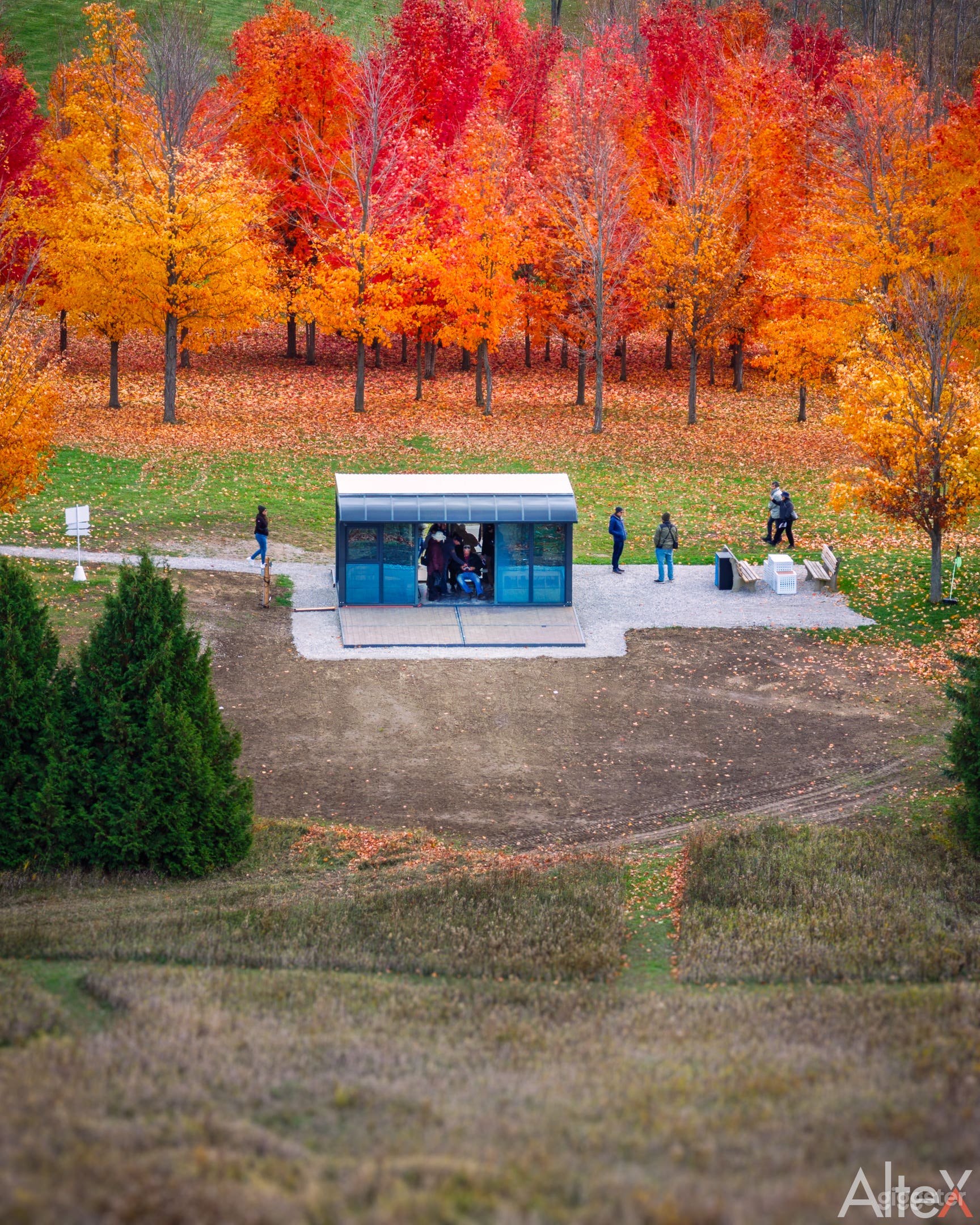 70‑acre Tree Farm Escape & Event Venue Photo 2