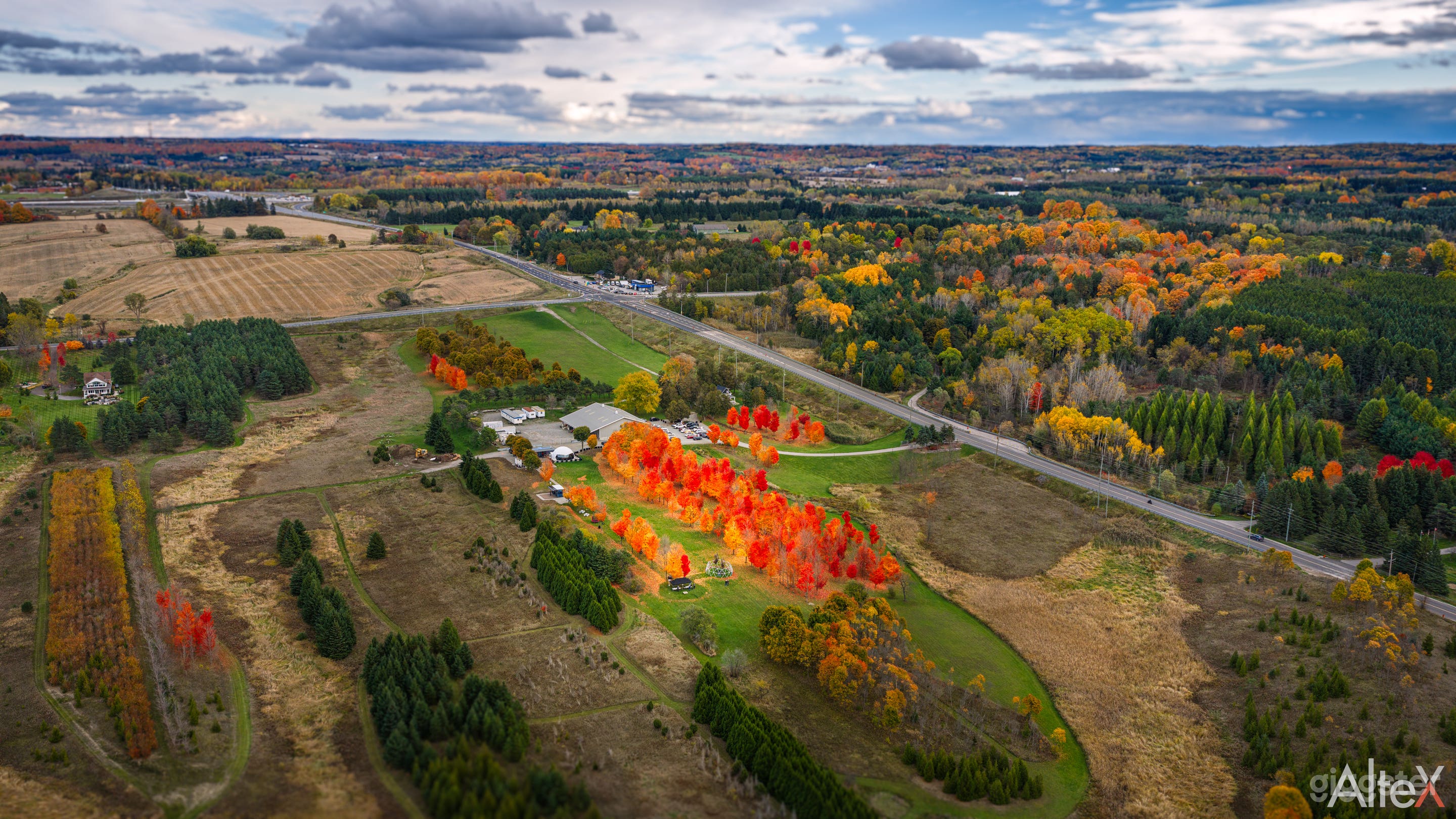 70‑acre Tree Farm Escape & Event Venue Photo 1