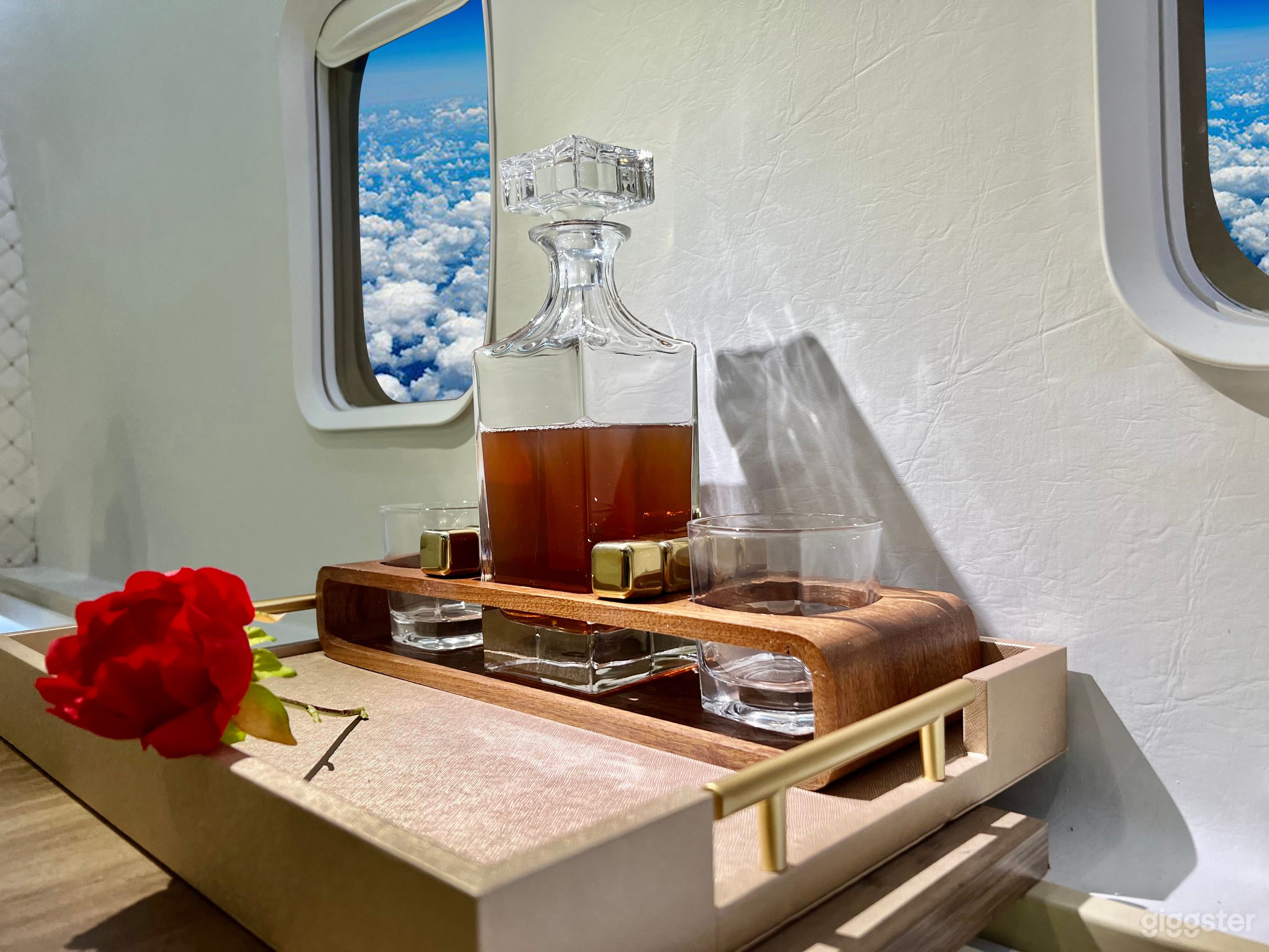 Private Jet Studio Set | Flight Simulation Photo 3