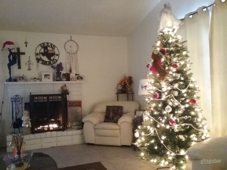  High ceiling, wood burning fireplace  