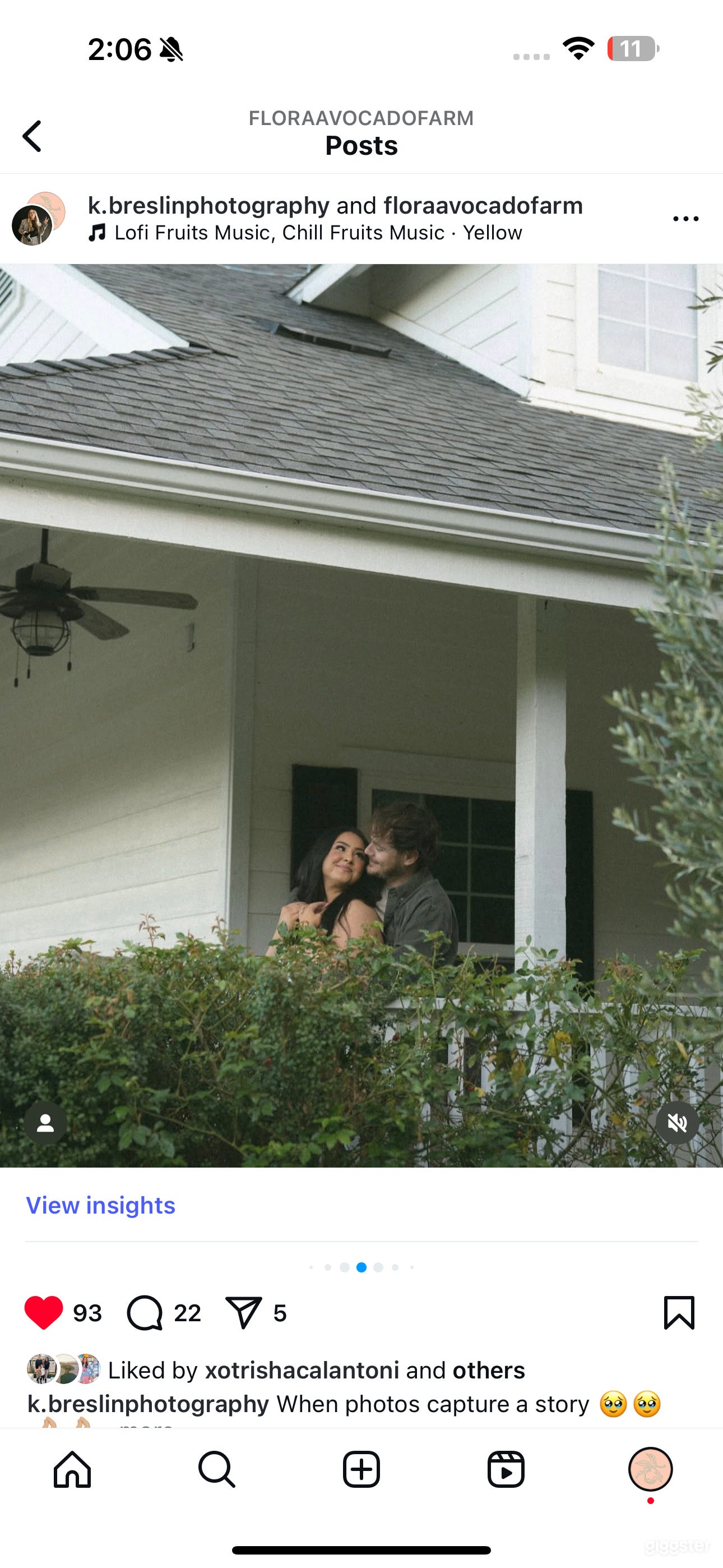 Flora Avocado Farm Photo 3