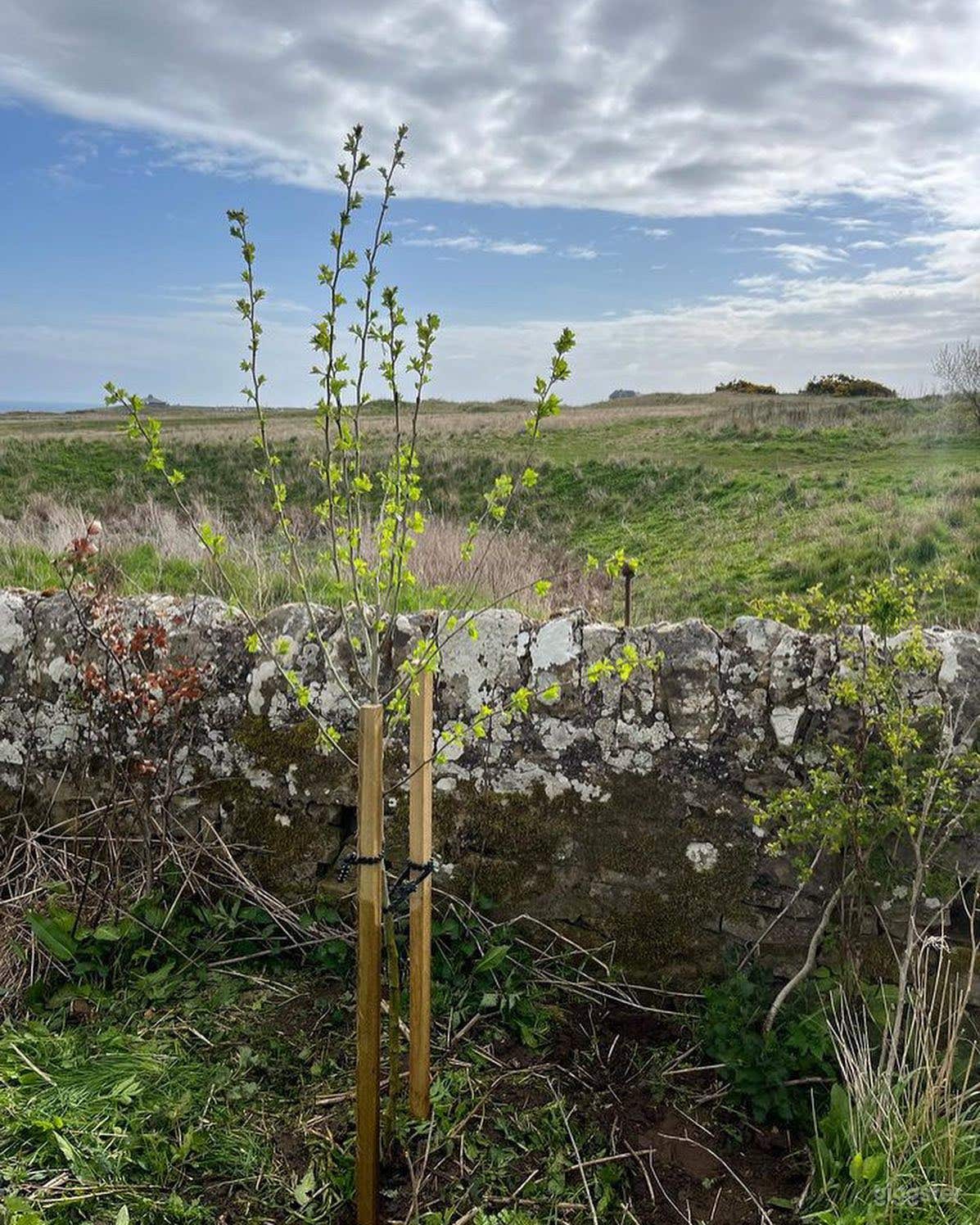 Amazing and Refreshing Outdoor Barn for Events Photo 4