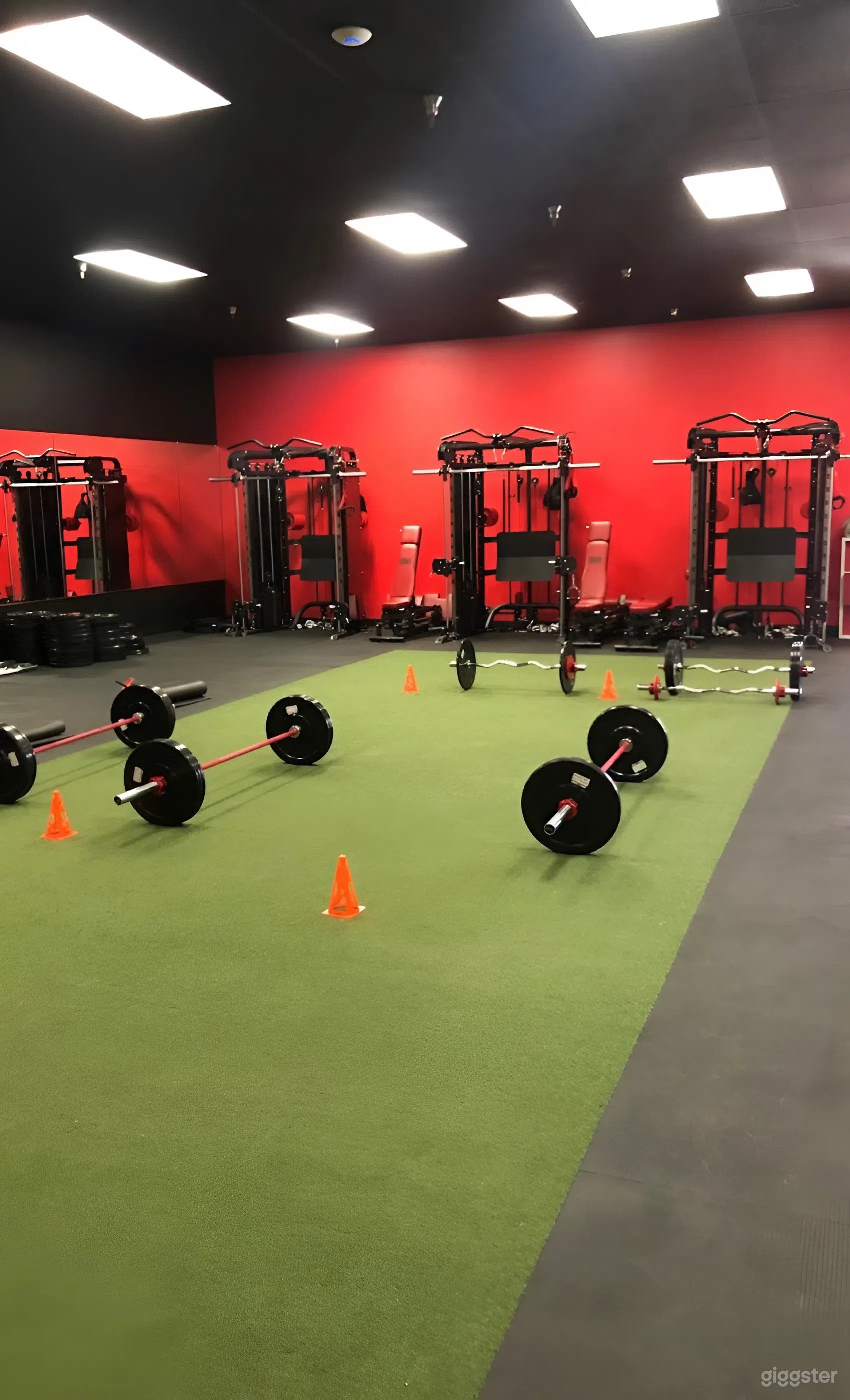 Dynamic Multi-Zone Gym for Fitness Shoots & Private Training Photo 4