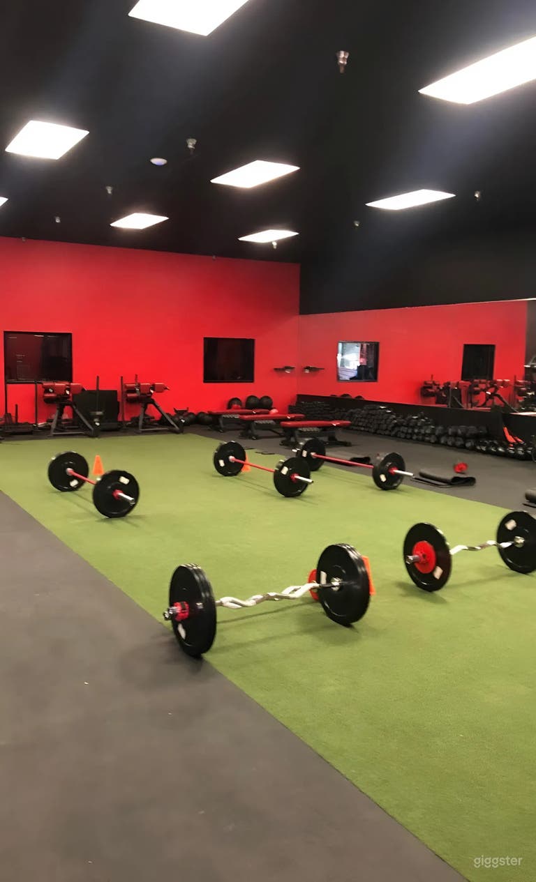  Dynamic Multi-Zone Gym for Fitness Shoots & Private Training 
