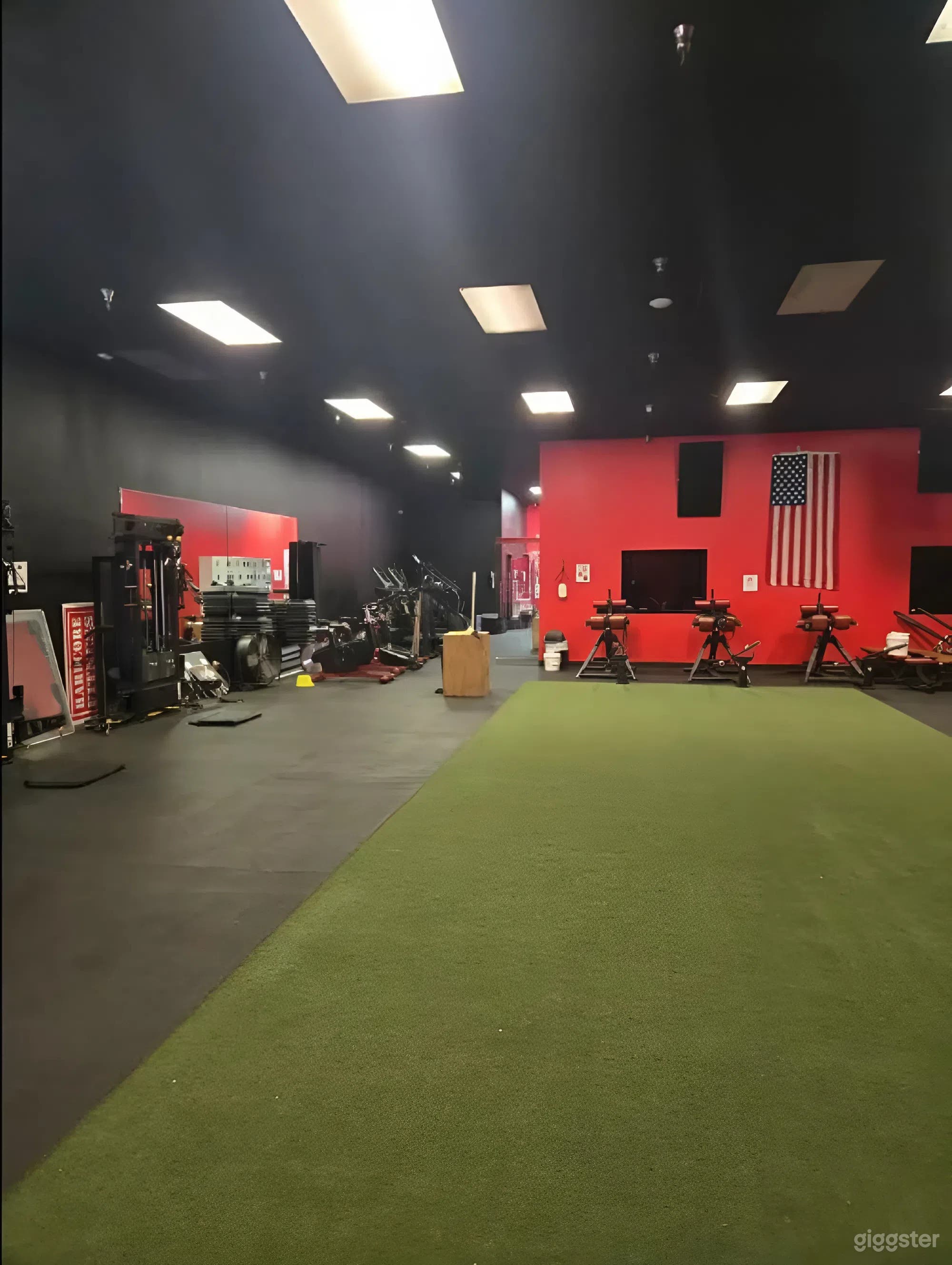 Dynamic Multi-Zone Gym for Fitness Shoots & Private Training Photo 3