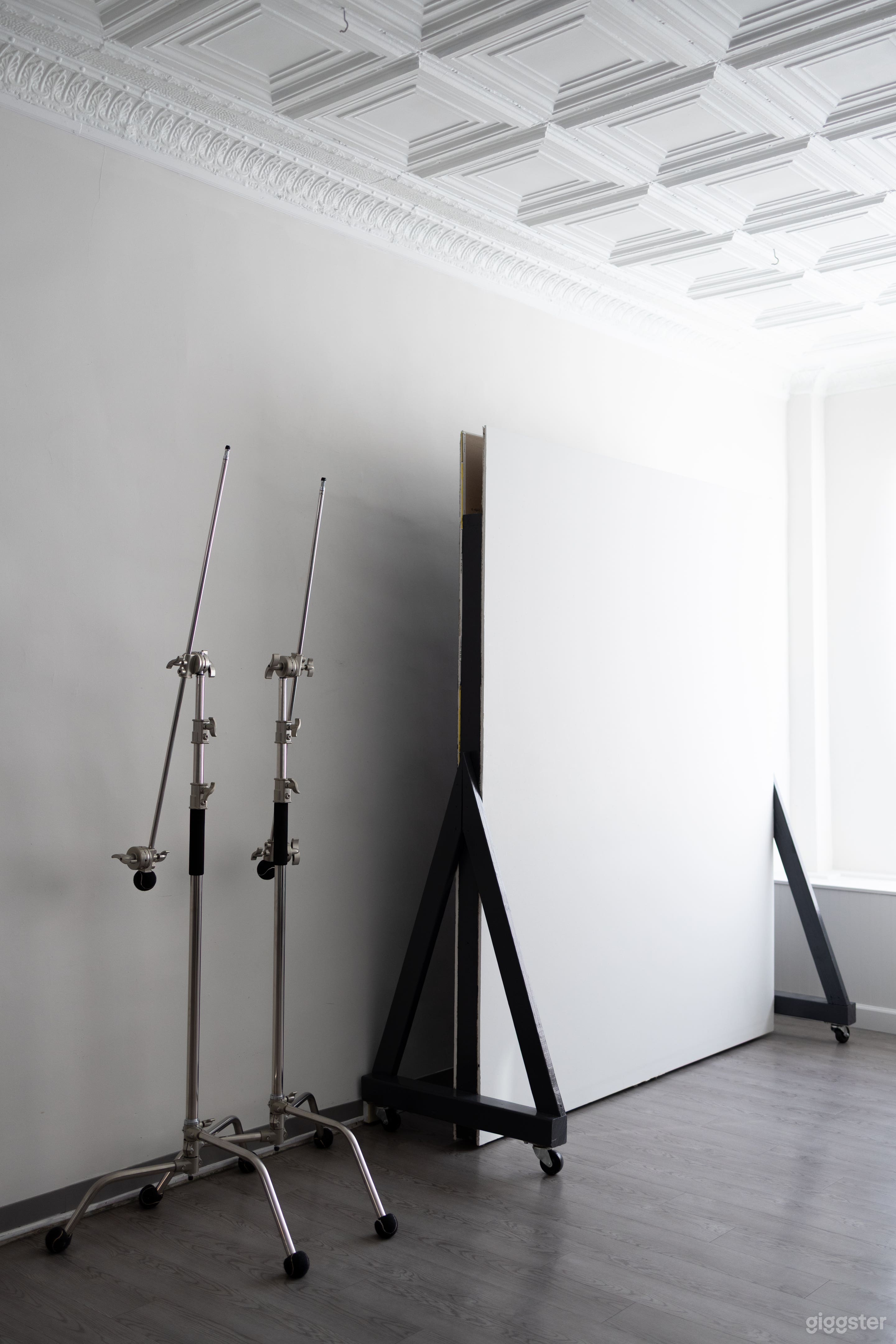 Natural Light Photo Studio in Pittsburgh, PA Photo 1